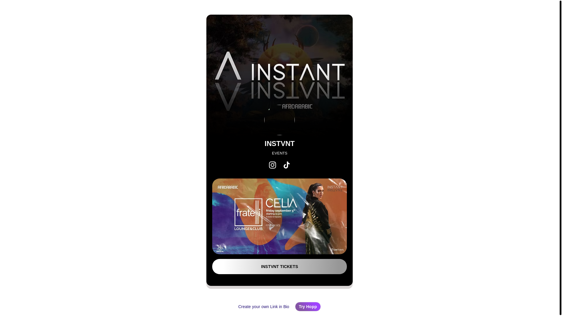 website screenshot of https://instvnt.ro/