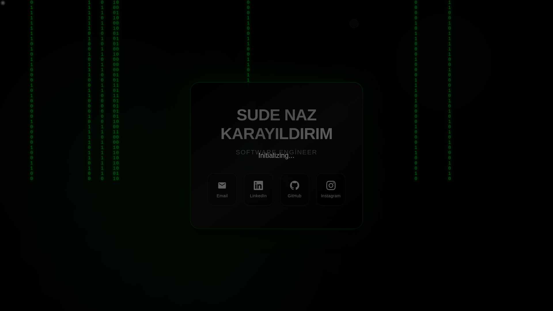 website screenshot of https://skarayildirim.com/