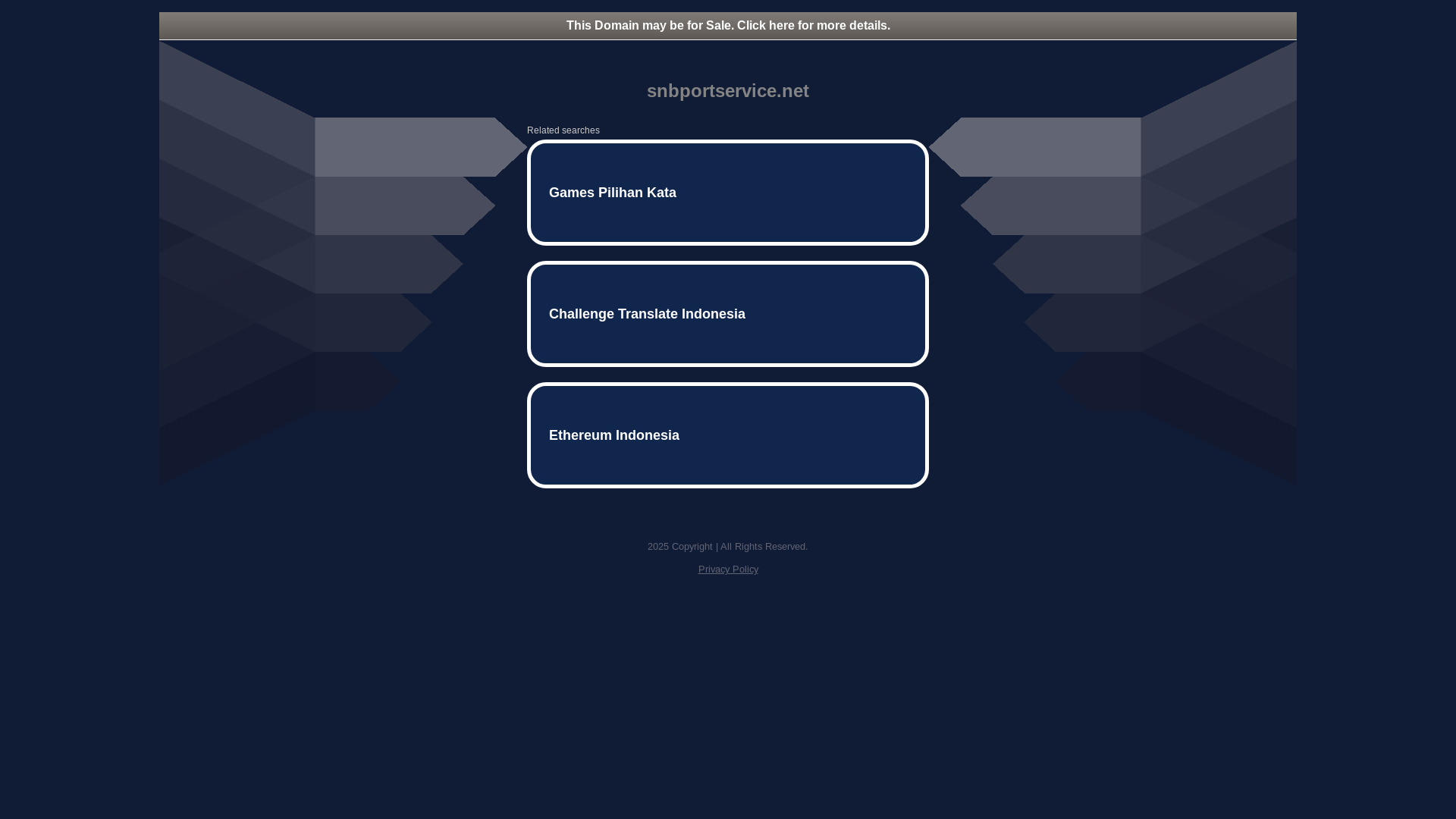 website screenshot of https://snbportservice.net/