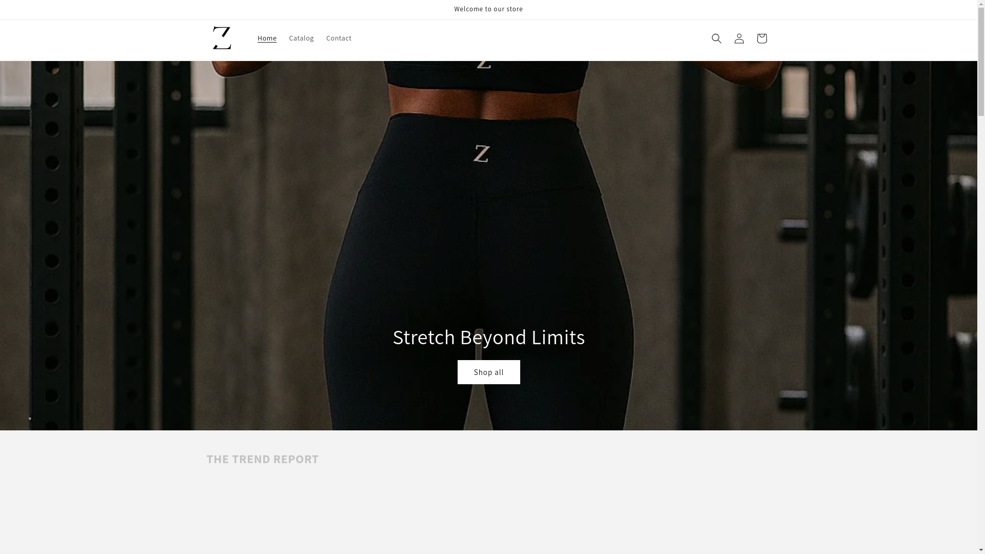 website screenshot of https://zivafitnessnyc.com/