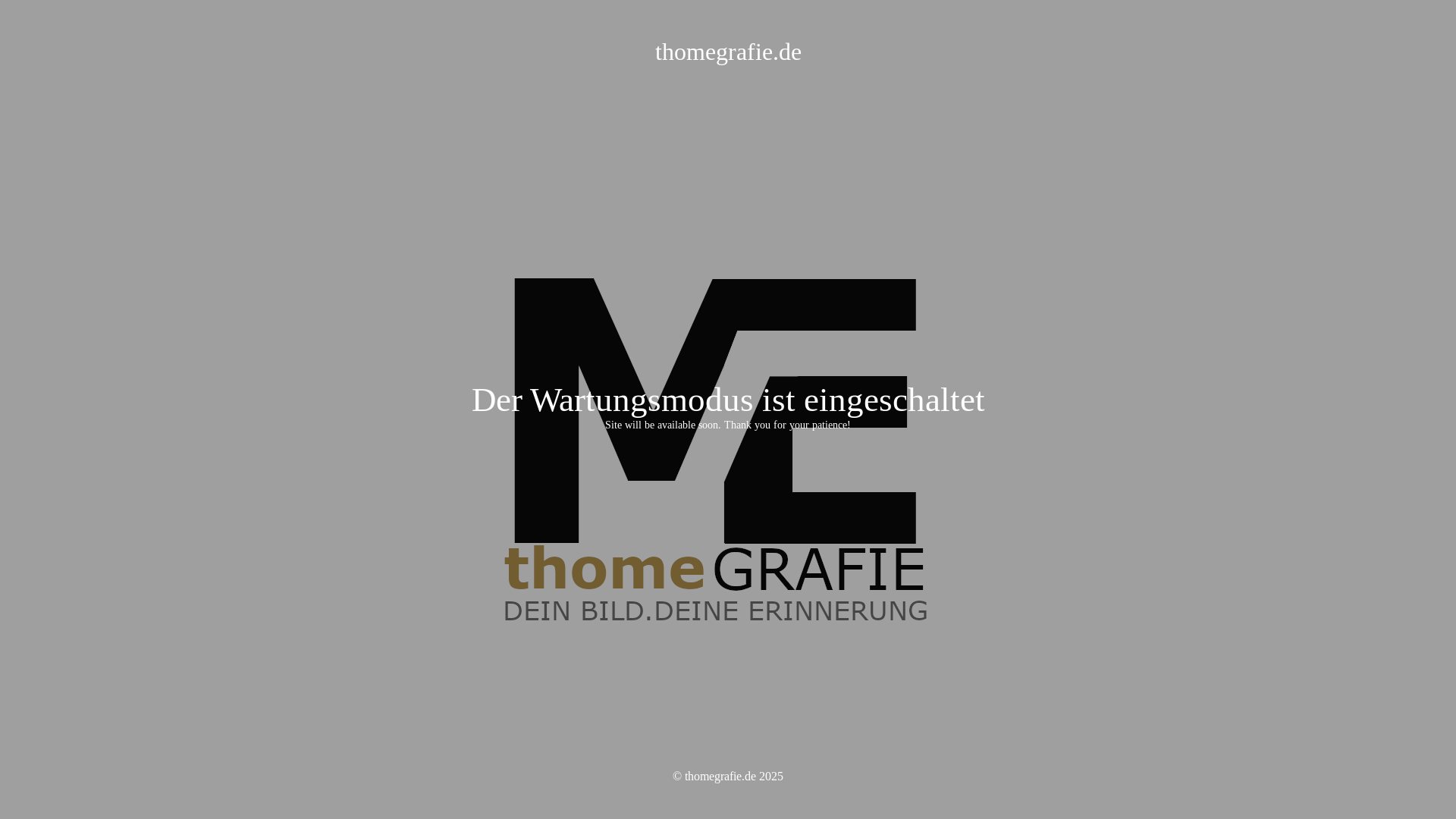 website screenshot of https://thomegrafie.de/