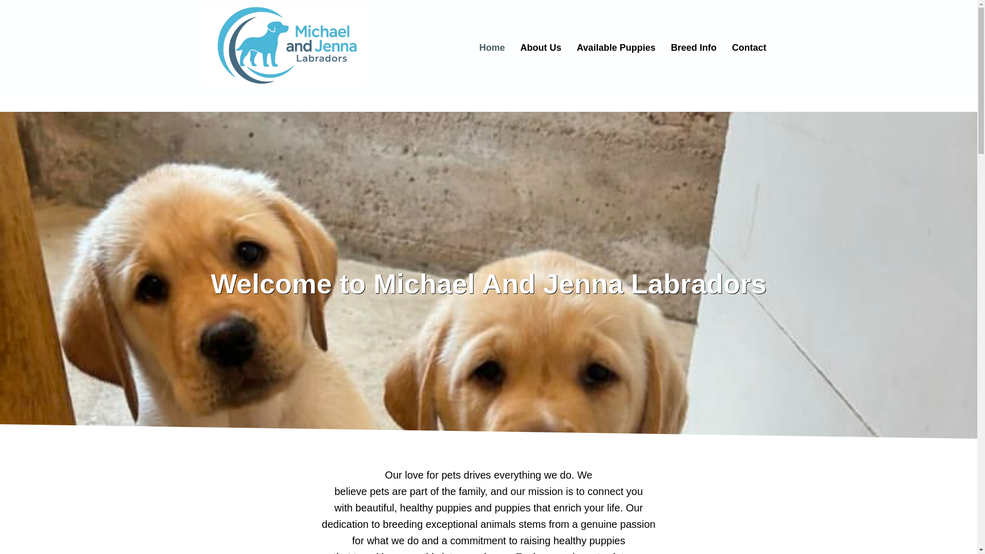 website screenshot of https://jasonhavanesepuppies.site/