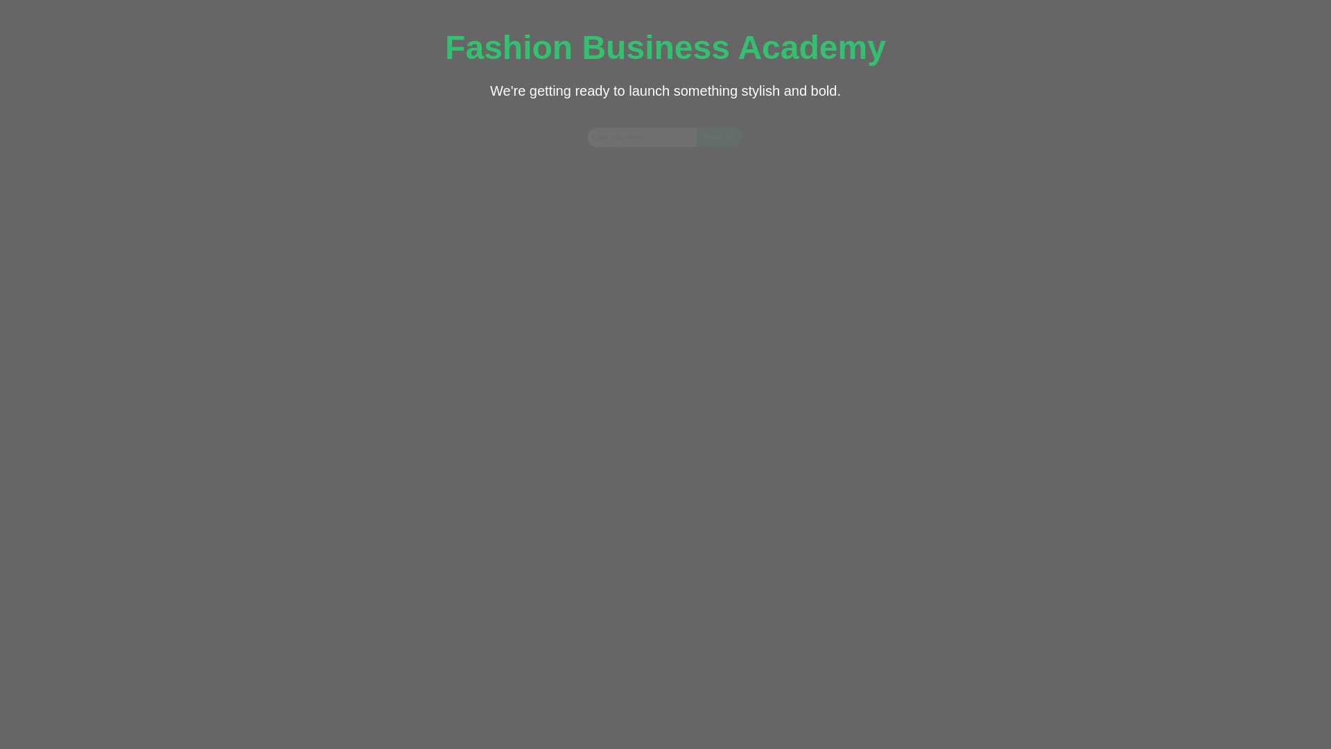 website screenshot of https://fashbizacademy.com/