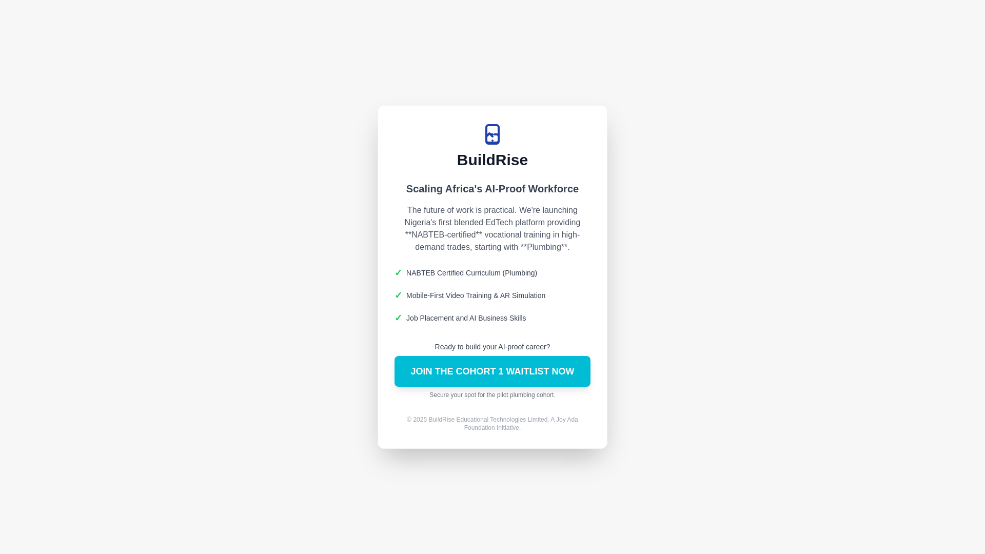 website screenshot of https://buildrise.africa/