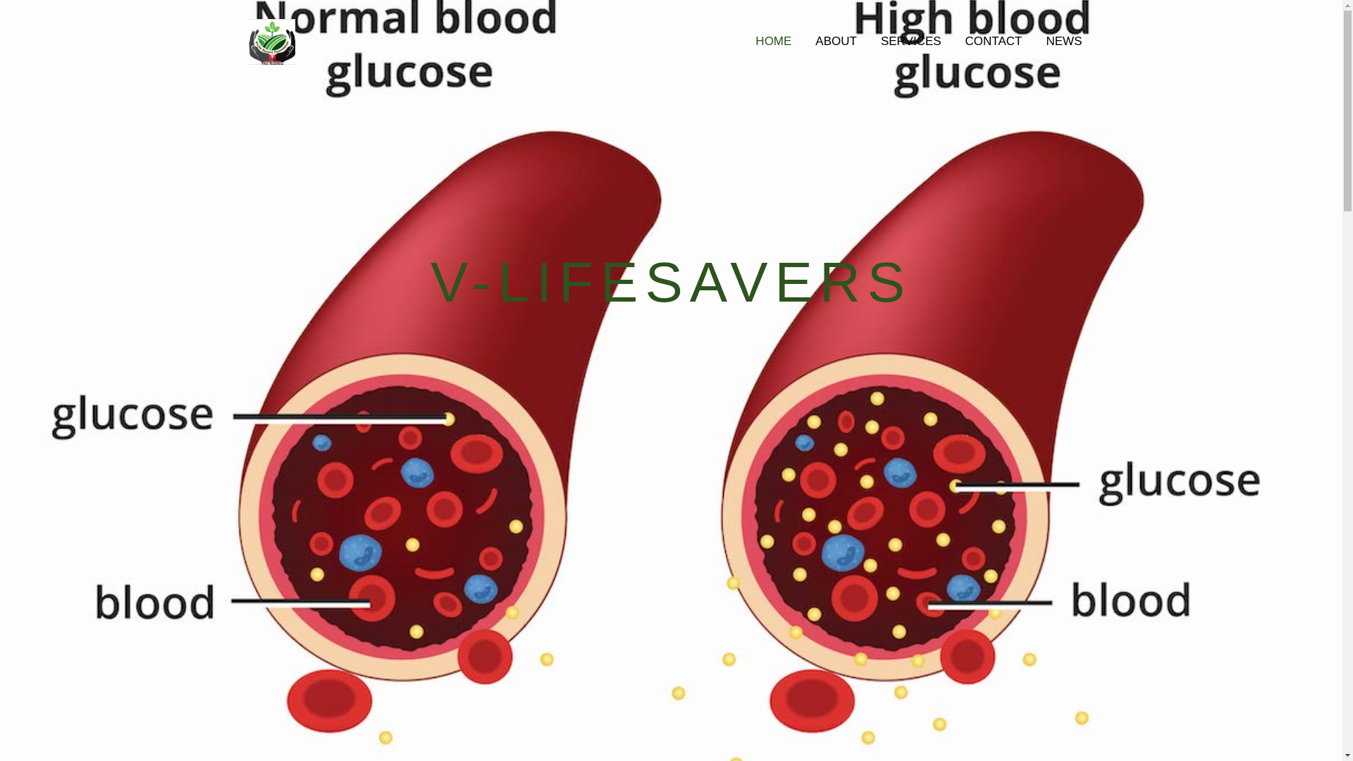website screenshot of https://v-lifesavers.com/