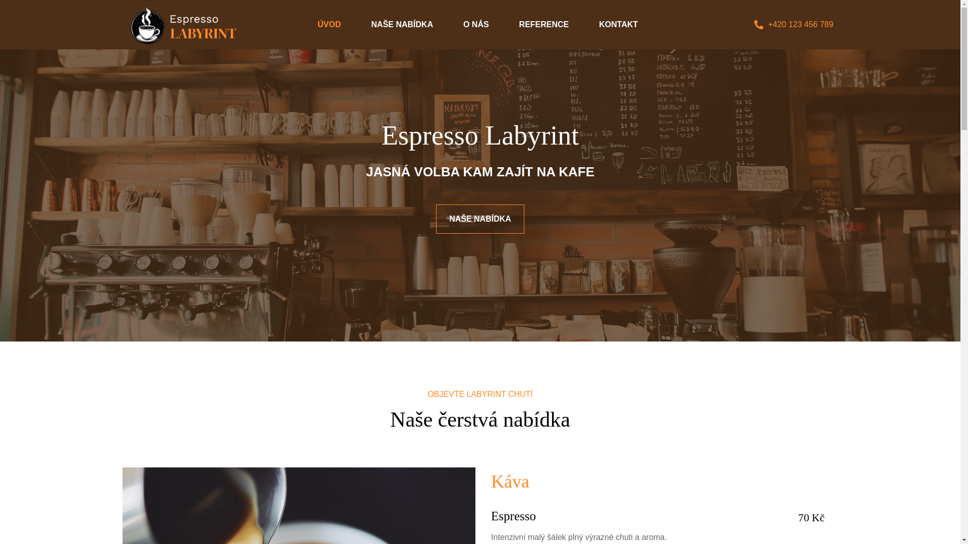 website screenshot of https://salembar.cz/