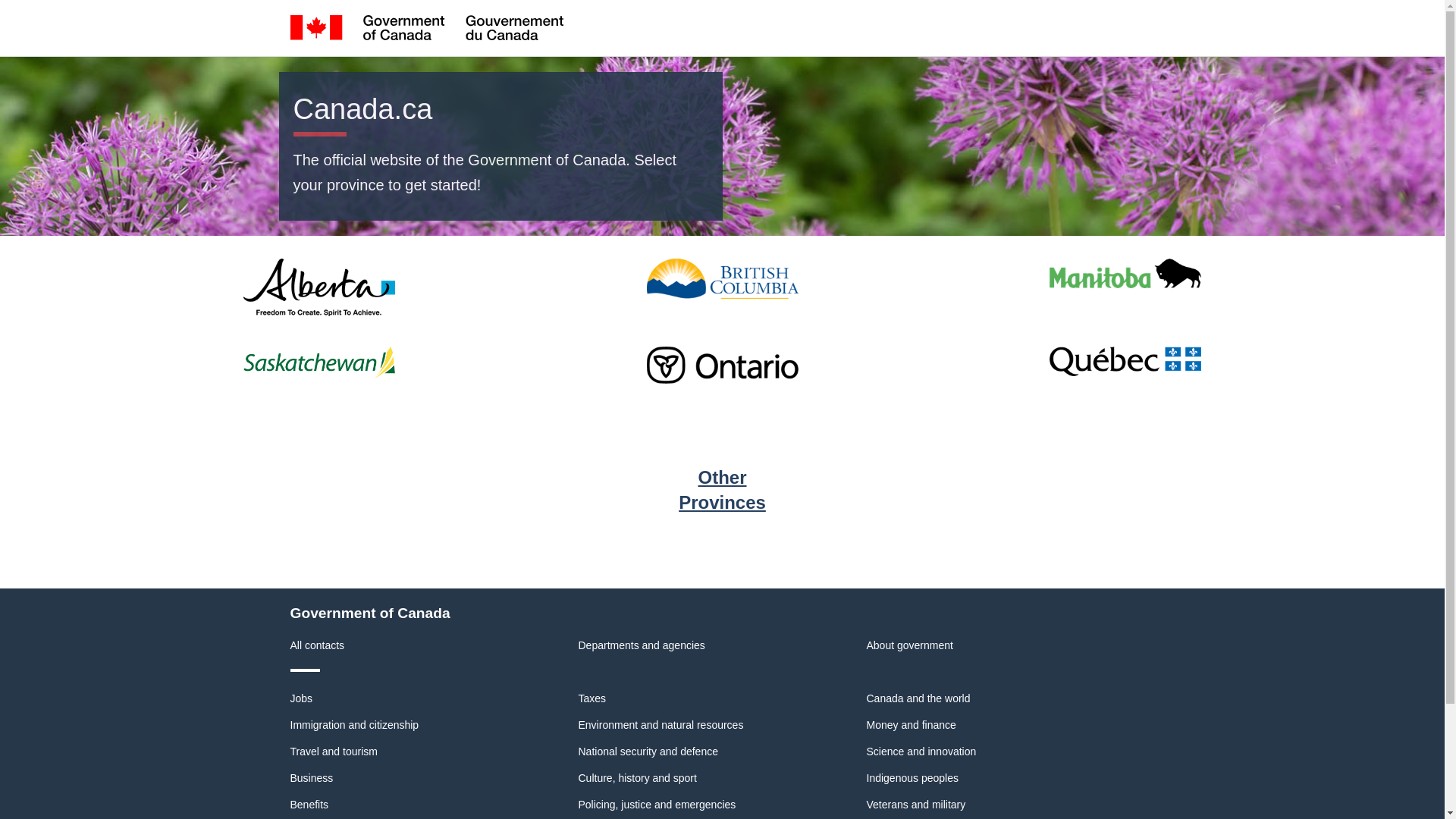website screenshot of https://my-traffic-offence.com/