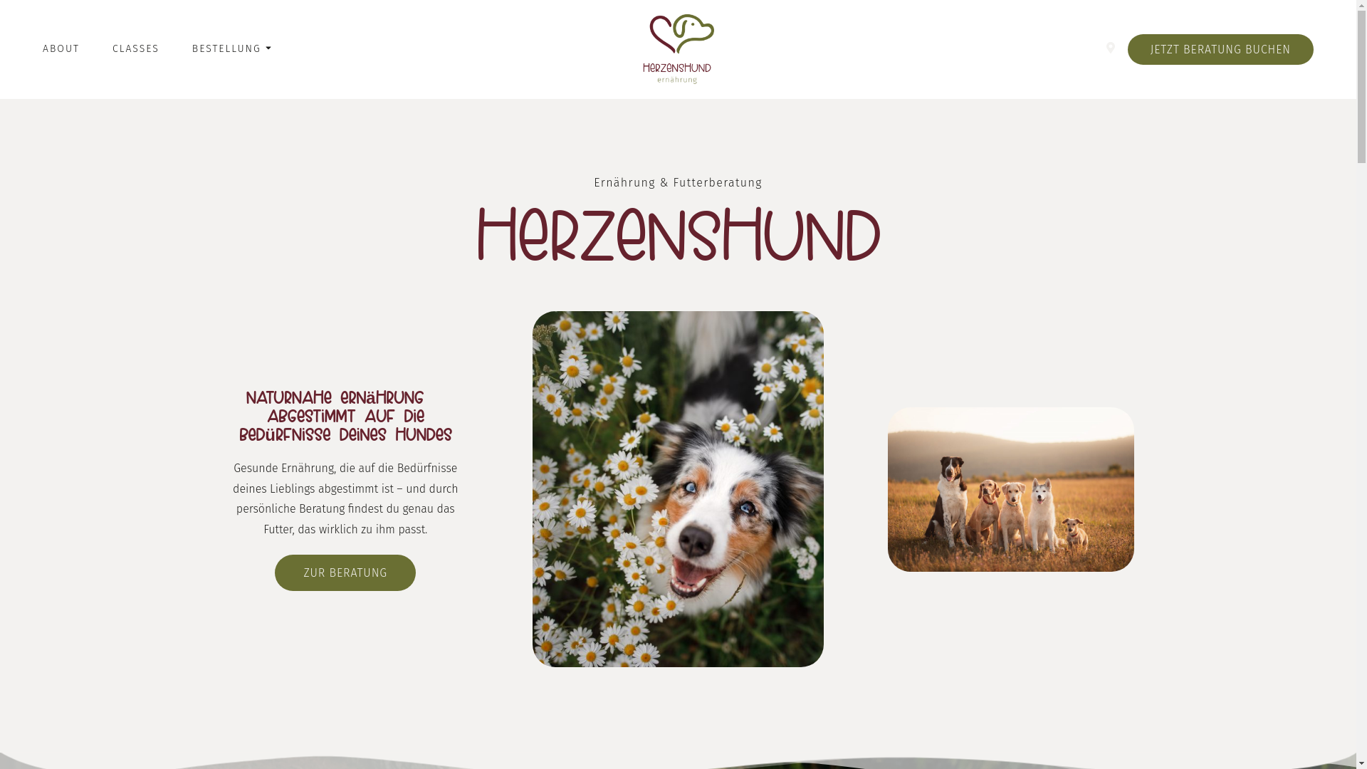 website screenshot of https://xn--herzenshund-ernhrung-pzb.de/