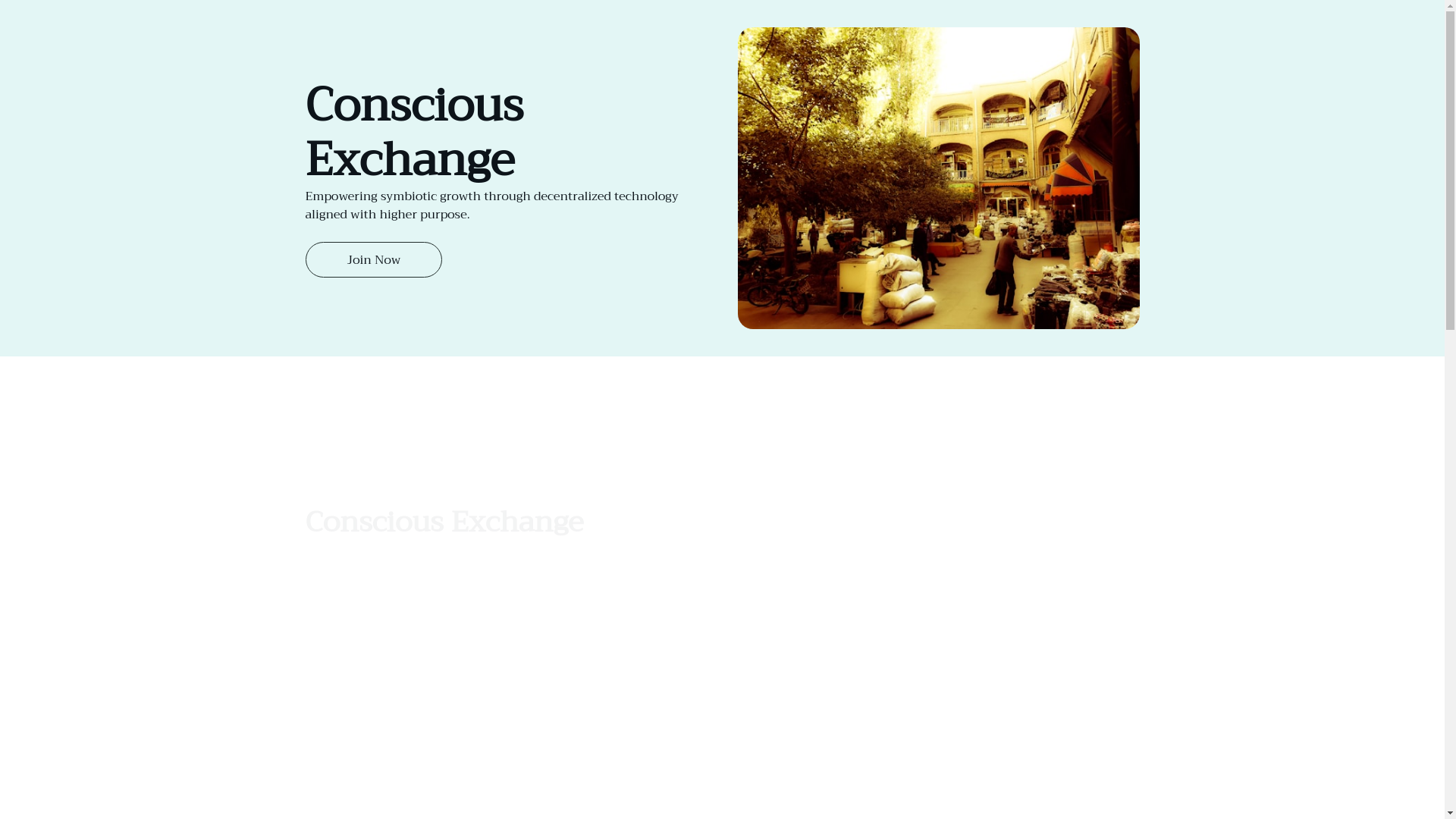 website screenshot of https://theconsciousprotocol.com/