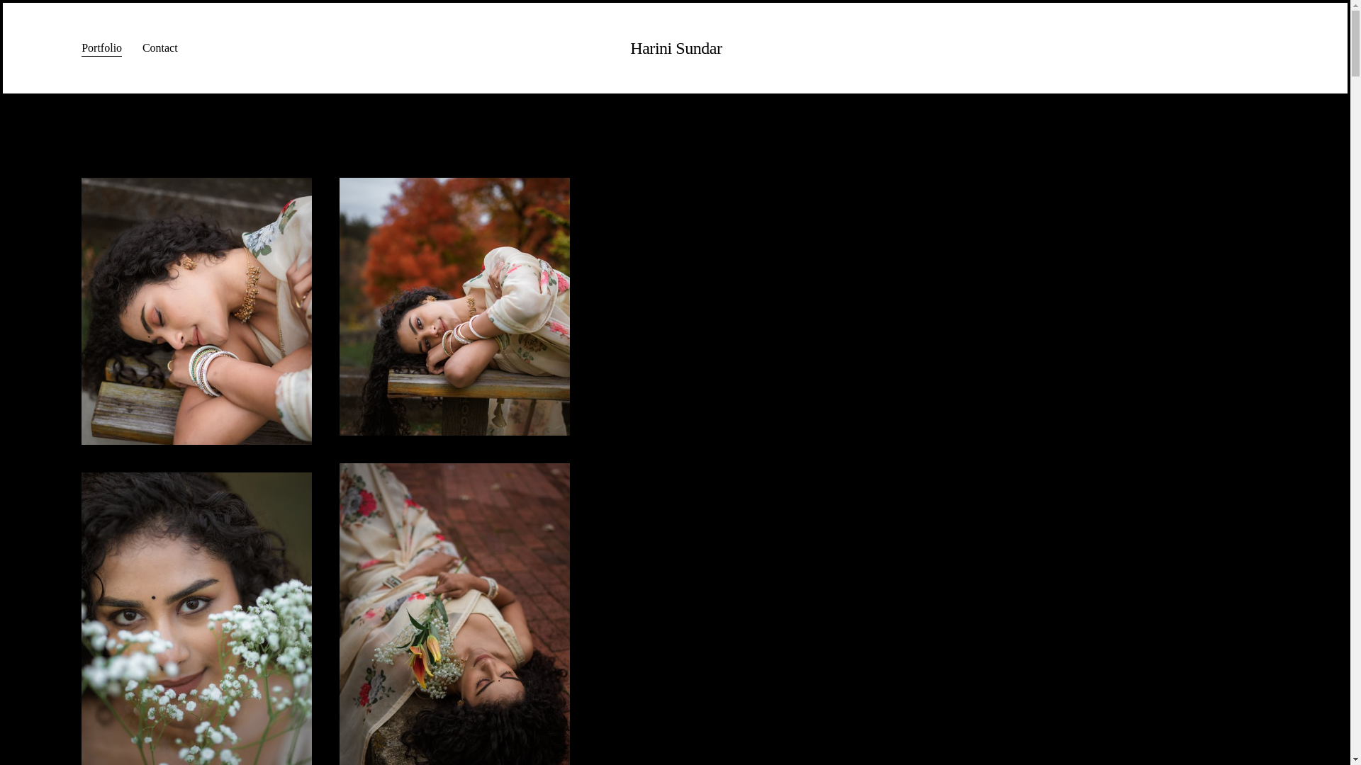 website screenshot of https://harinisundar.com/