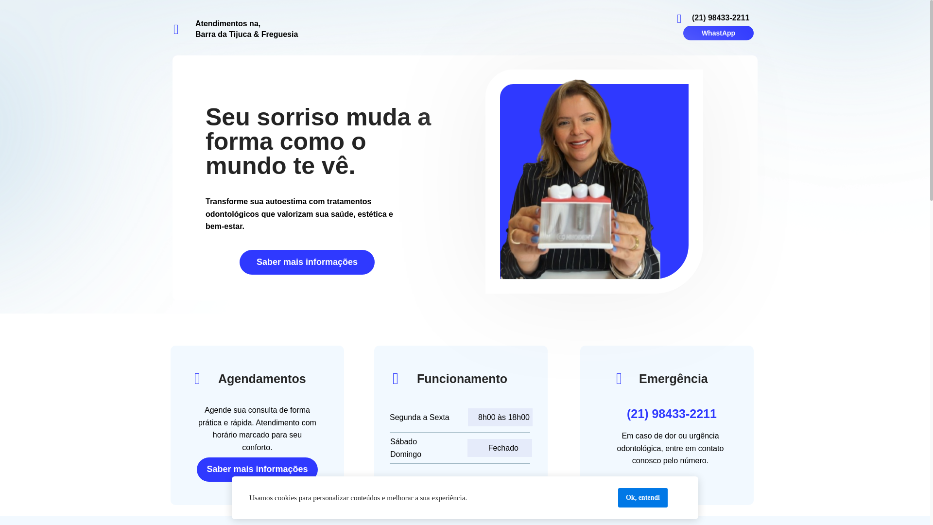 website screenshot of https://dentistavanessacastro.com.br/