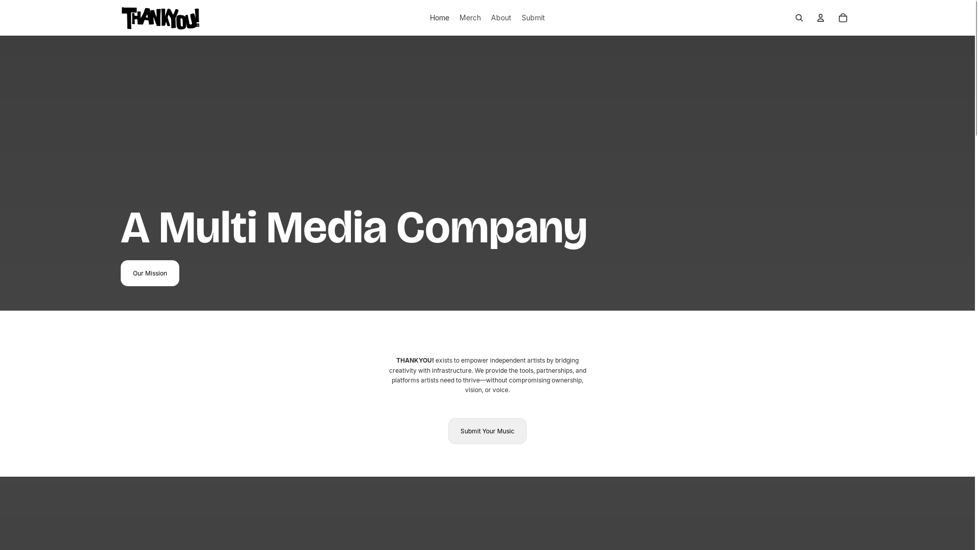 website screenshot of https://thankyoumusicgroup.com/