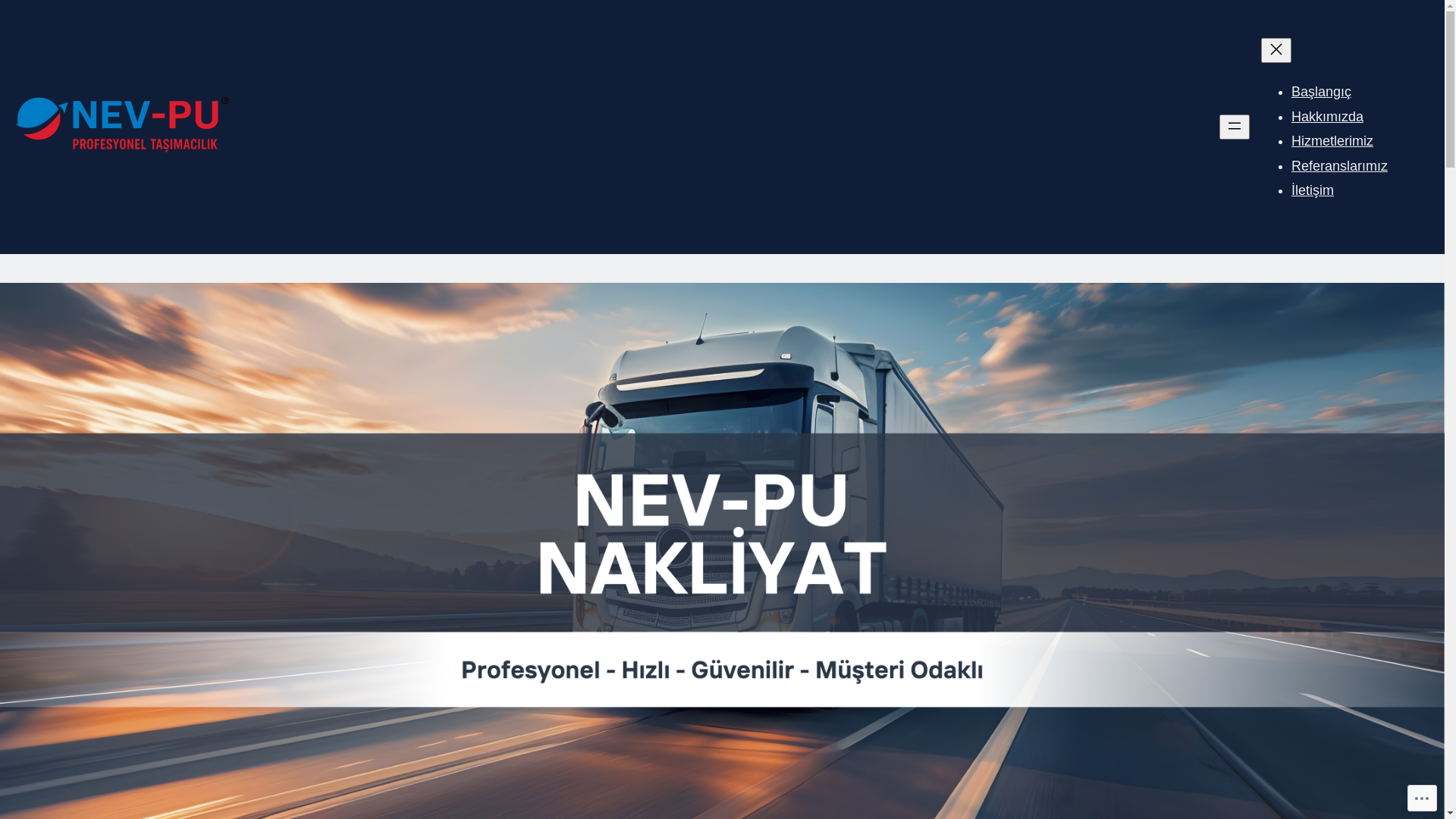 website screenshot of https://nevpunakliye.com/
