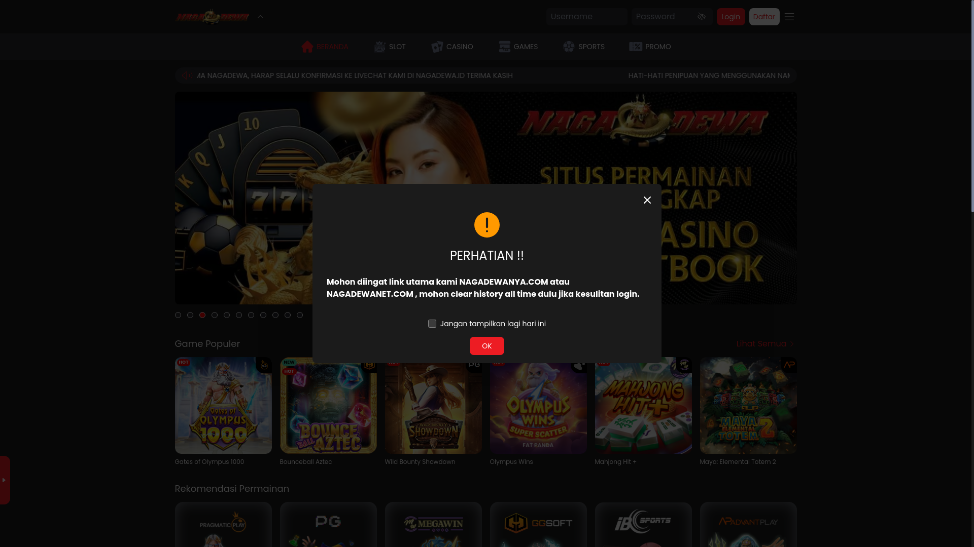 website screenshot of https://nagadewalopez.xyz/