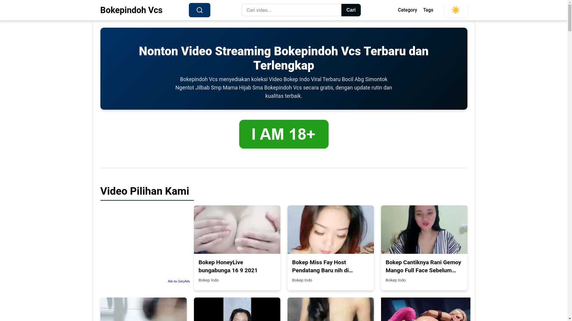 website screenshot of https://bokepindohvcs.pages.dev/