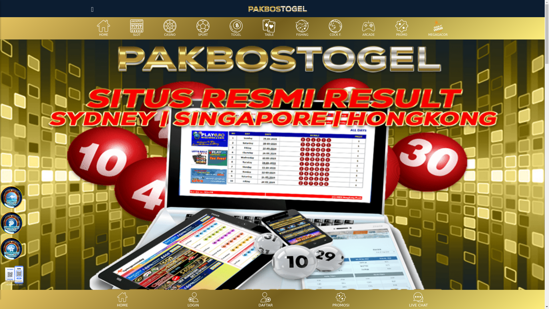 website screenshot of https://pakbostogel.fun/