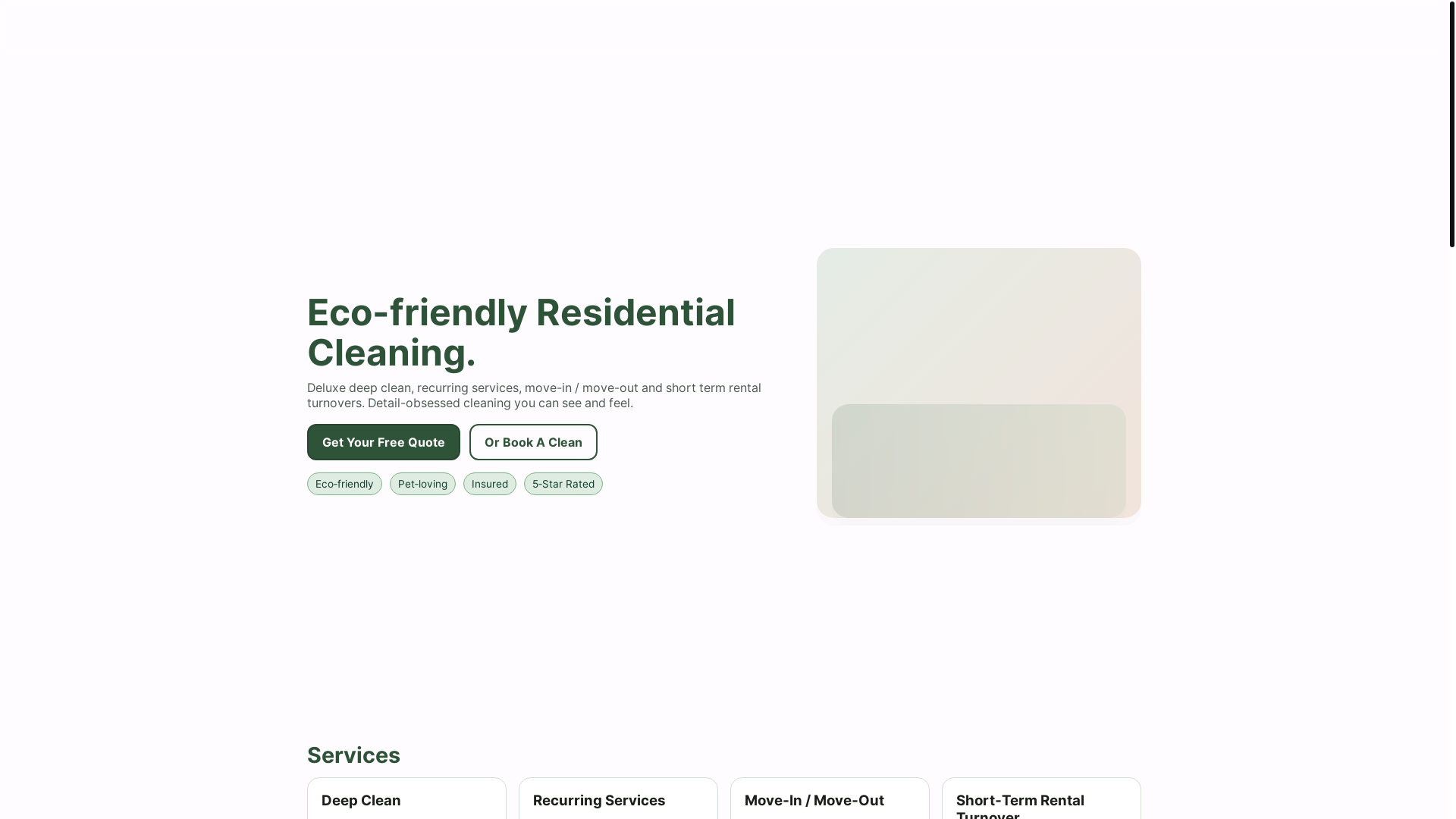 website screenshot of https://cleanwithnexa.com/