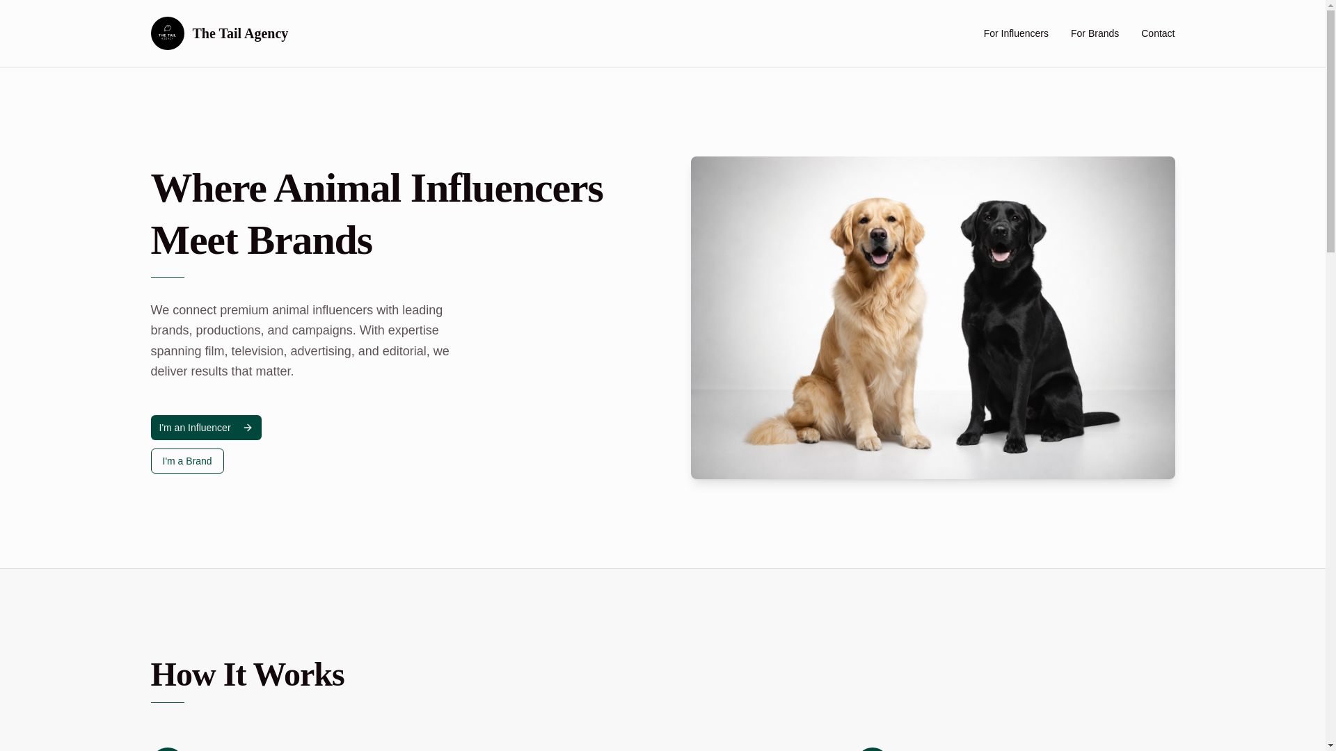 website screenshot of https://thetailagency.com/