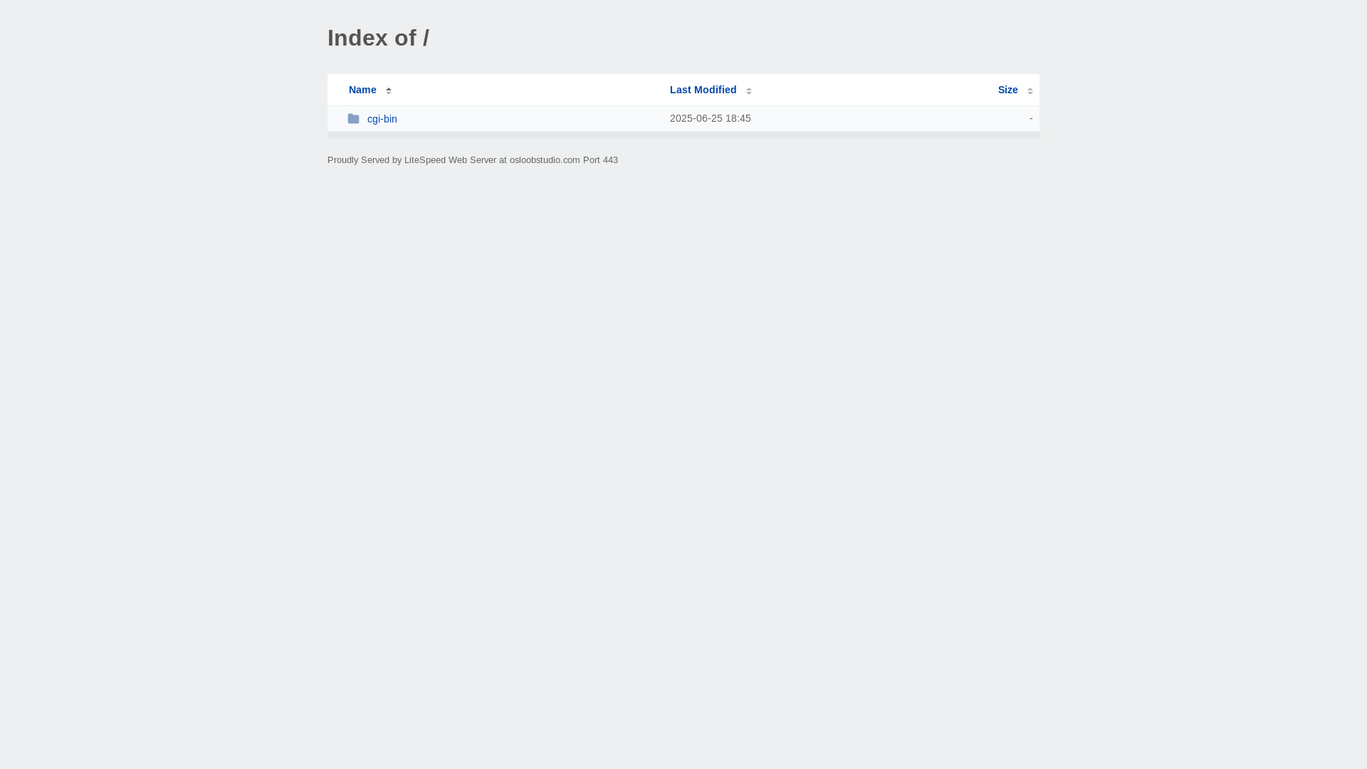 website screenshot of https://osloobstudio.com/