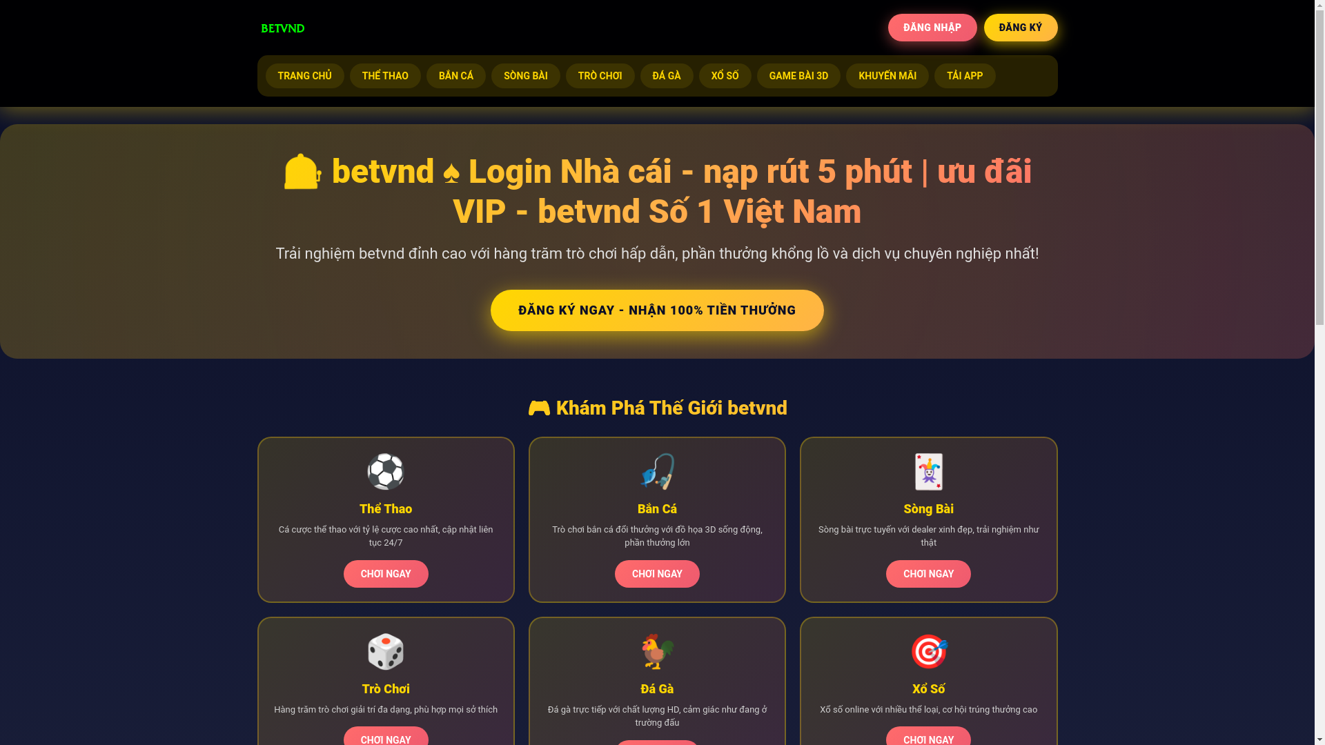 website screenshot of https://betvndg.com/