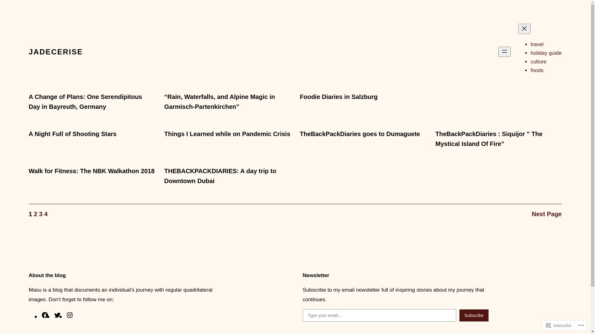 website screenshot of https://backpackersdiaries.com/