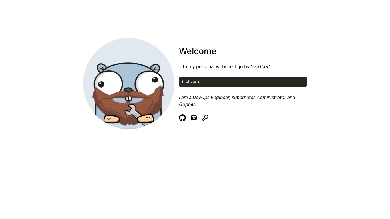 website screenshot of https://sekthor.dev/