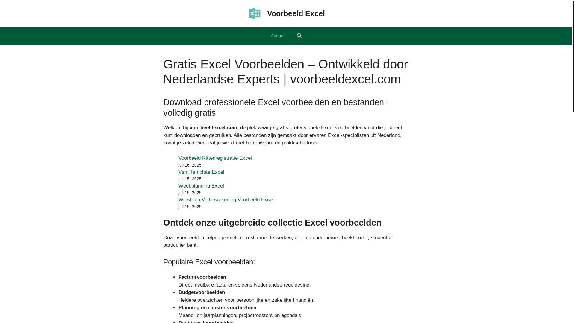 website screenshot of https://voorbeeldexcel.com/