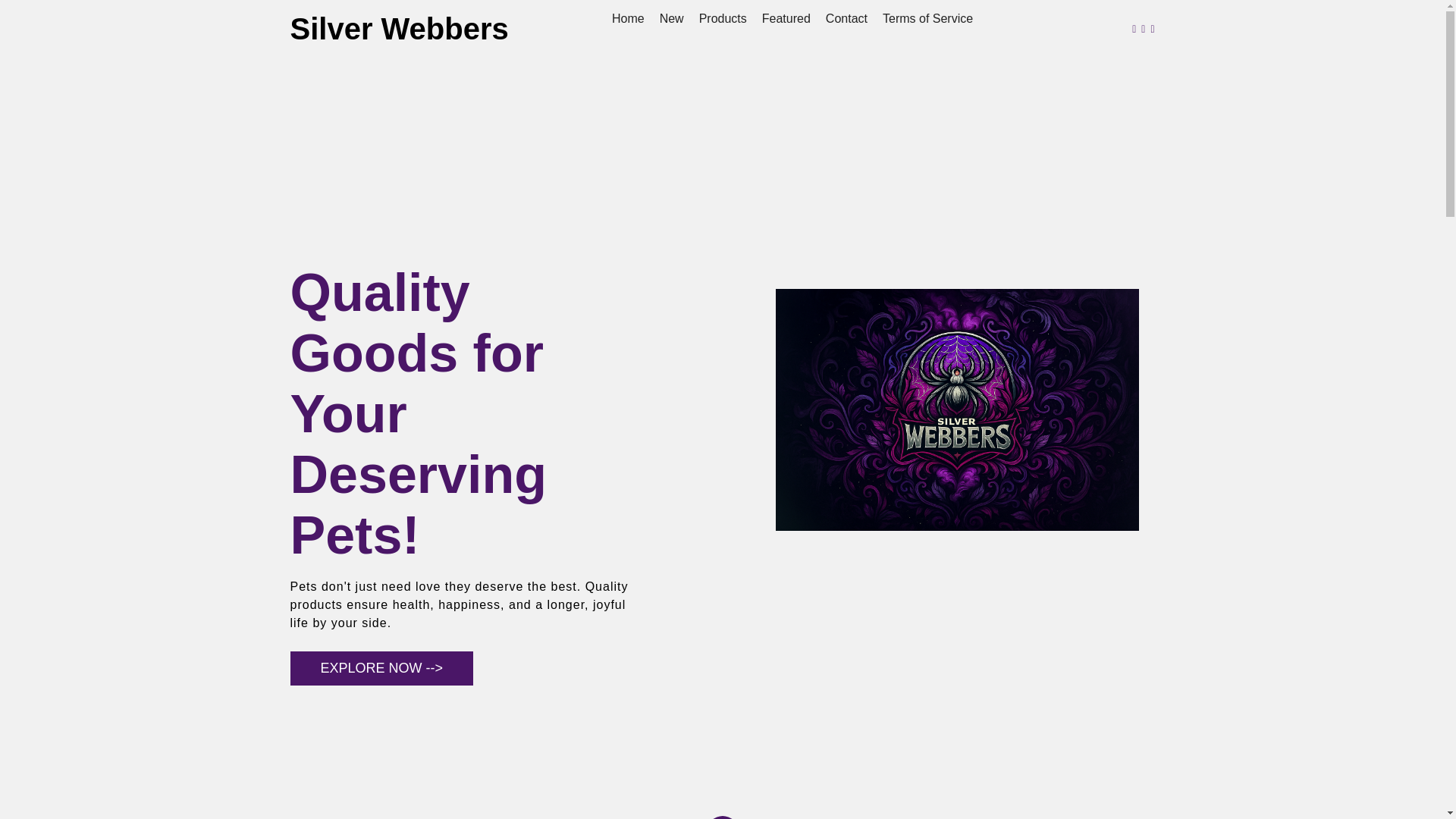 website screenshot of https://silverwebberssada.pages.dev/