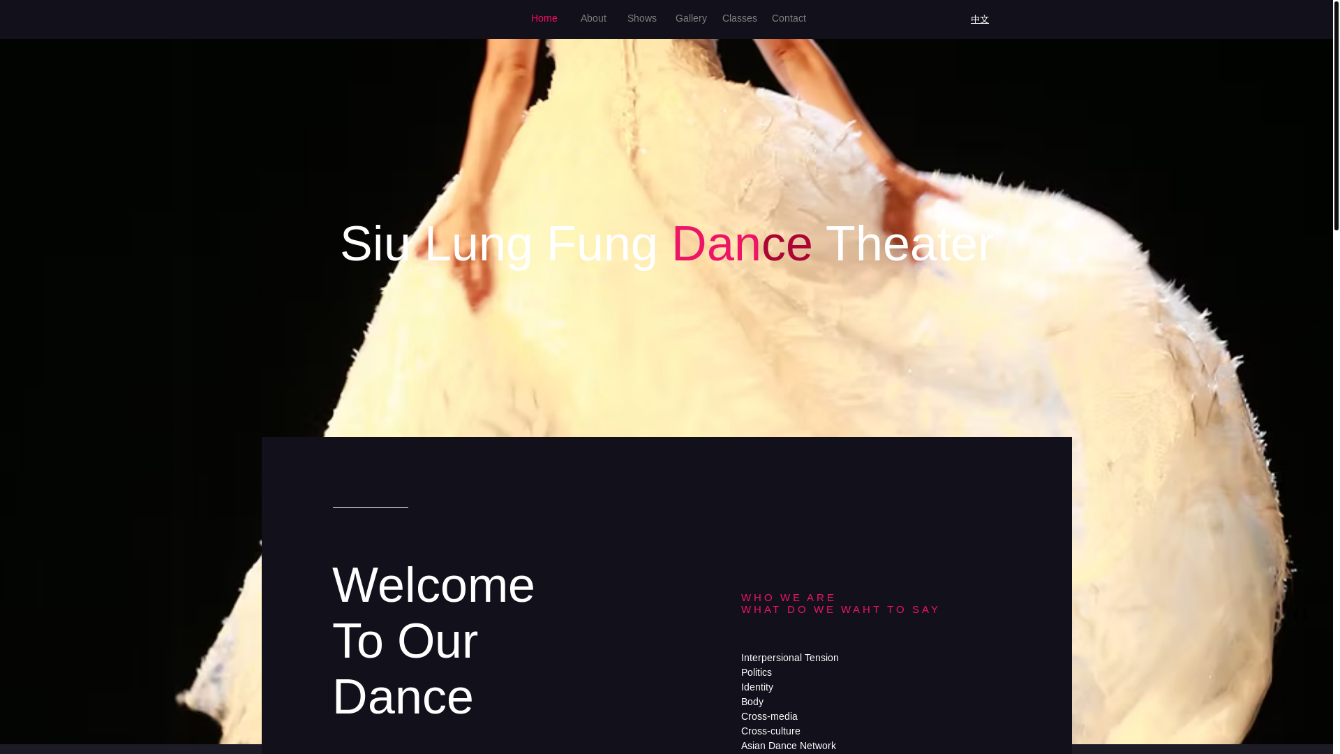 website screenshot of https://slfdancet.com/