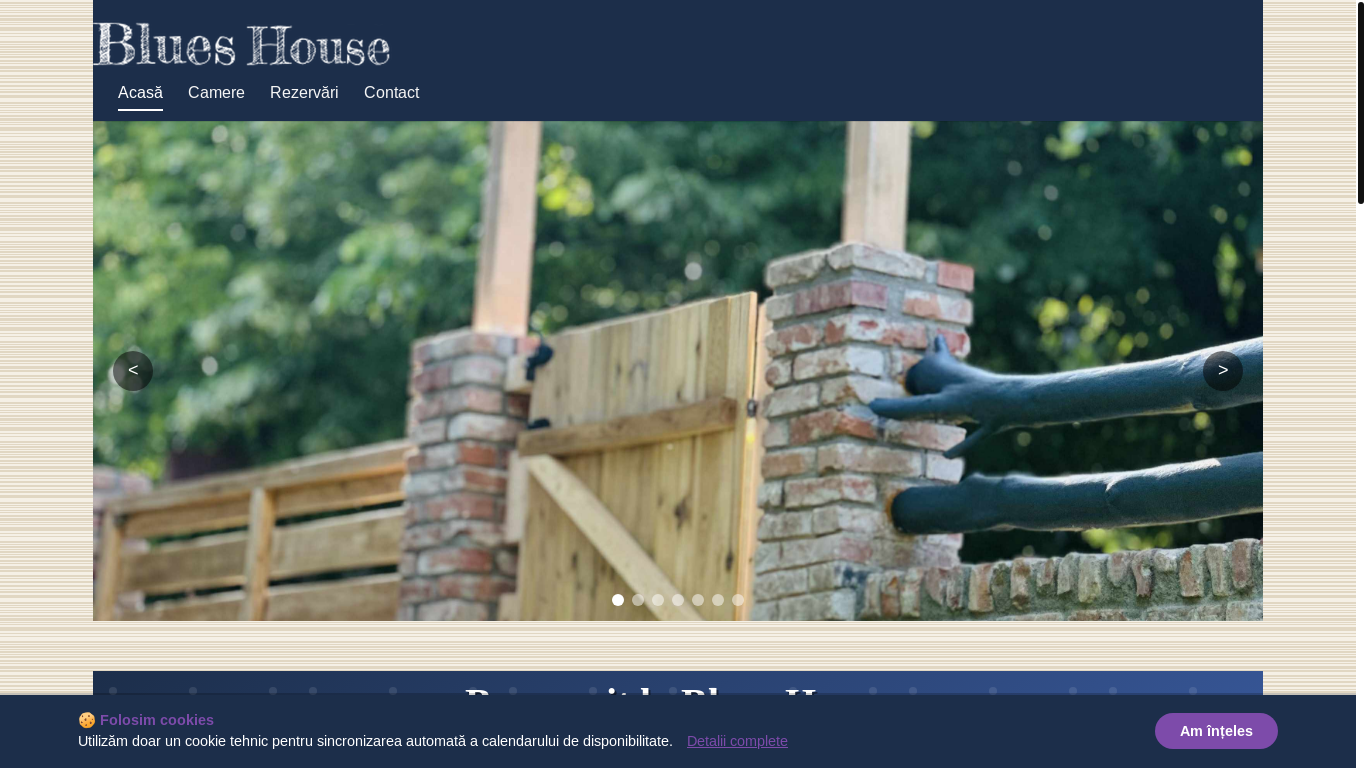 website screenshot of https://blueshouse.ro/
