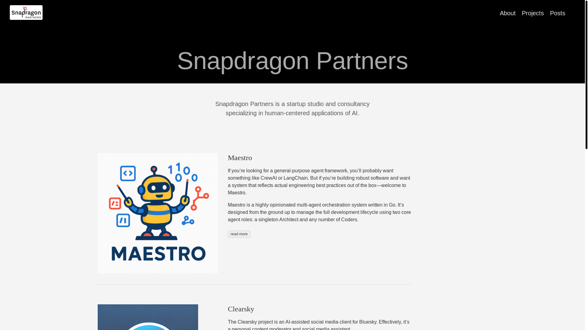 website screenshot of https://snapdragon.pages.dev/