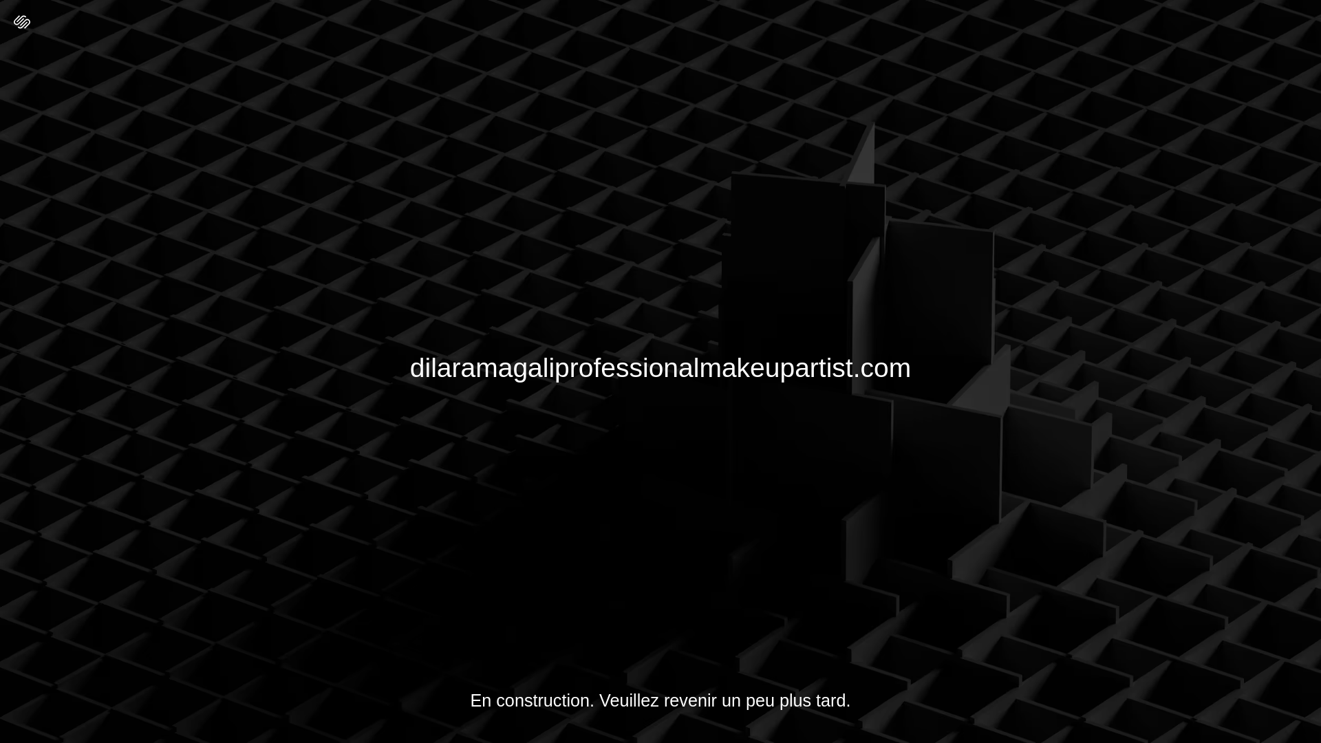 website screenshot of https://dilaramagaliprofessionalmakeupartist.com/