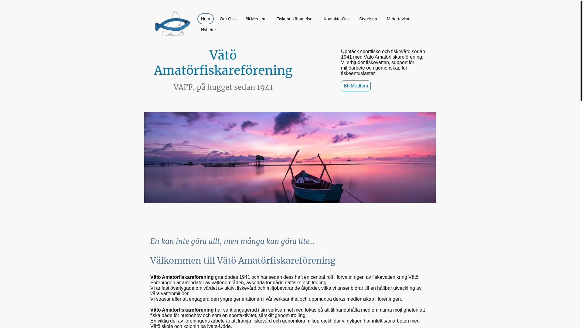 website screenshot of https://vatofiske.se/