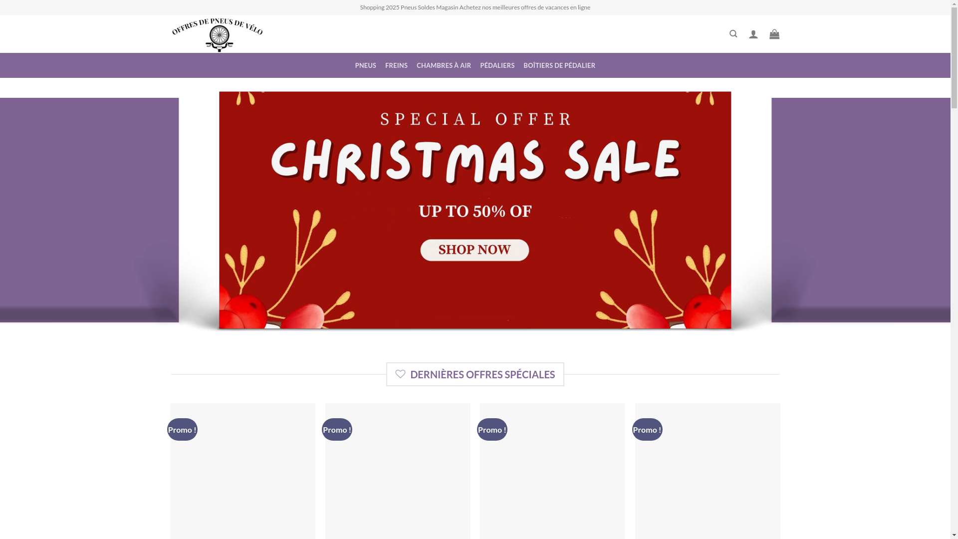 website screenshot of http://biketiressoldes.com/