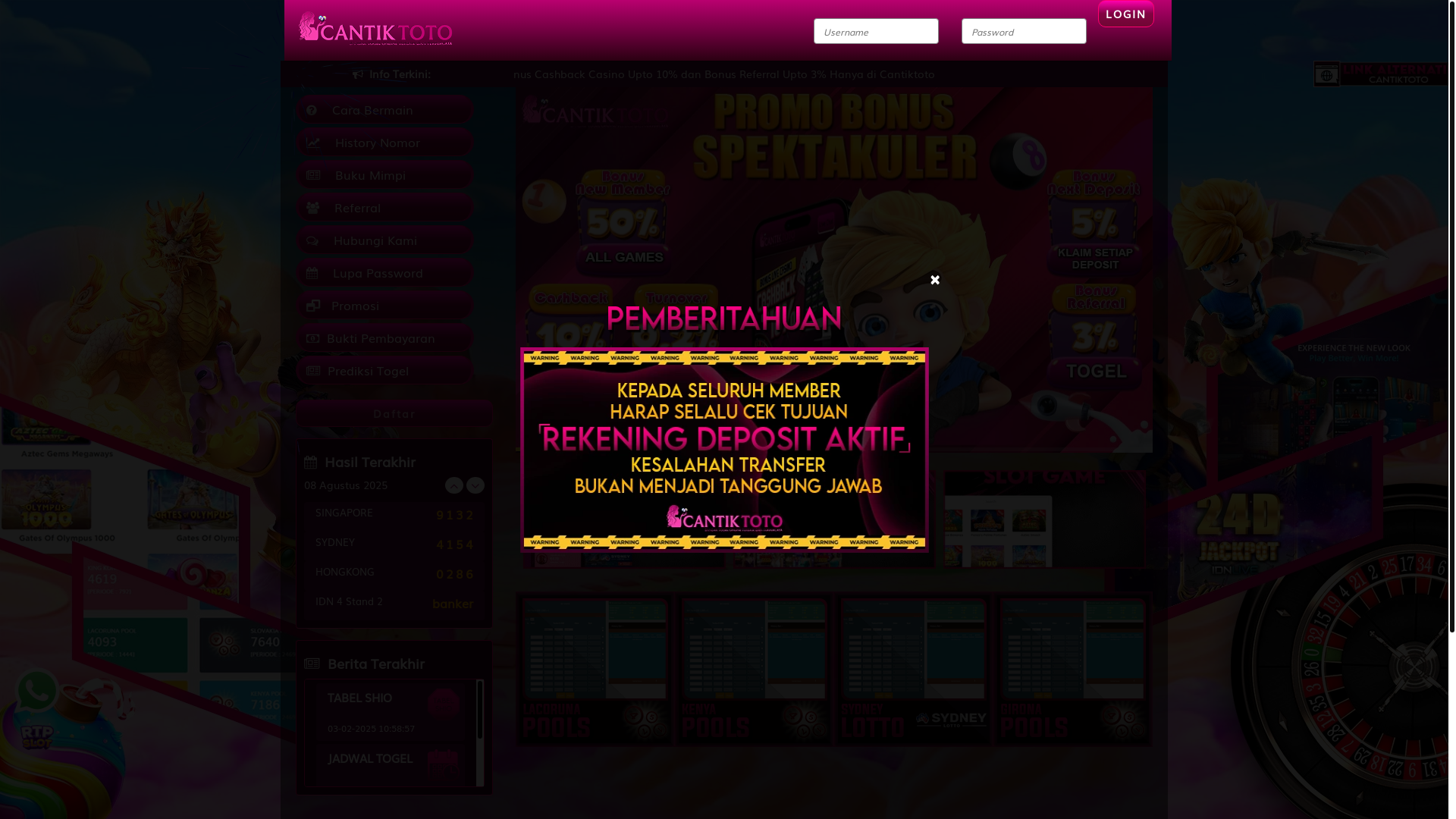 website screenshot of https://cantiktotopink.com/