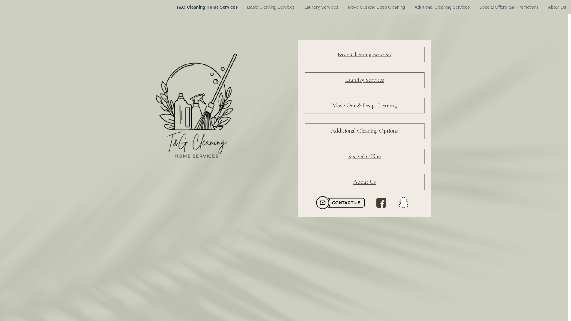website screenshot of https://tgcleaninghs.com/