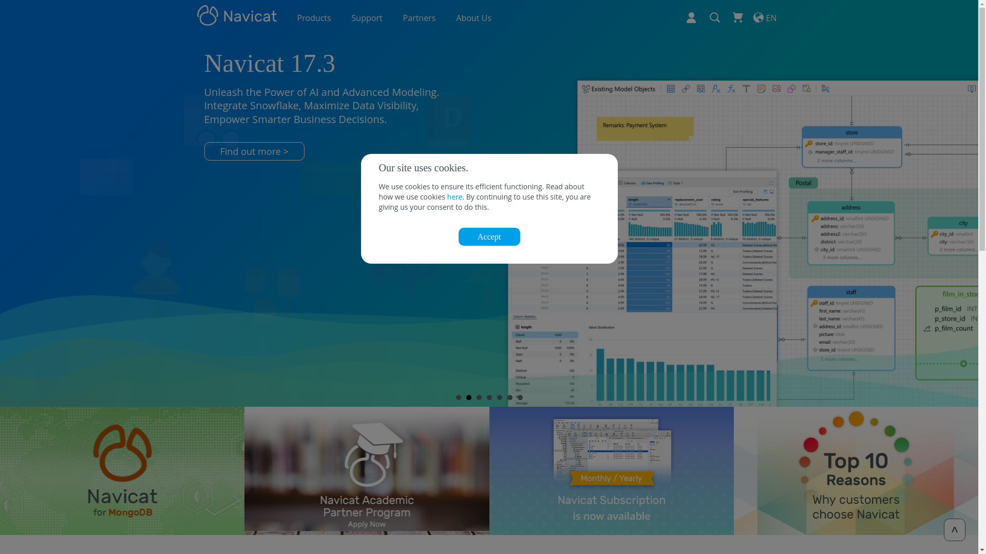 website screenshot of https://navicat.com