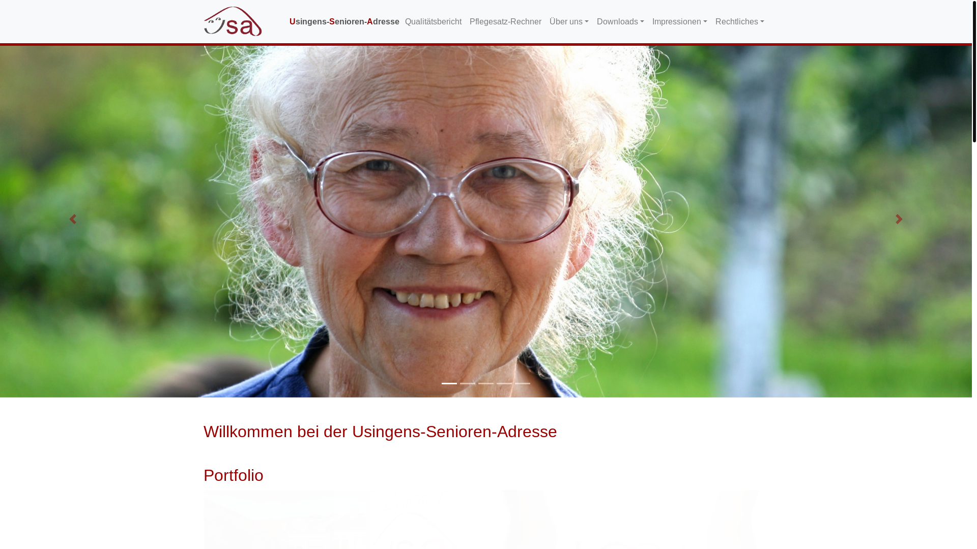website screenshot of https://pflegedienst-ahrens.de/