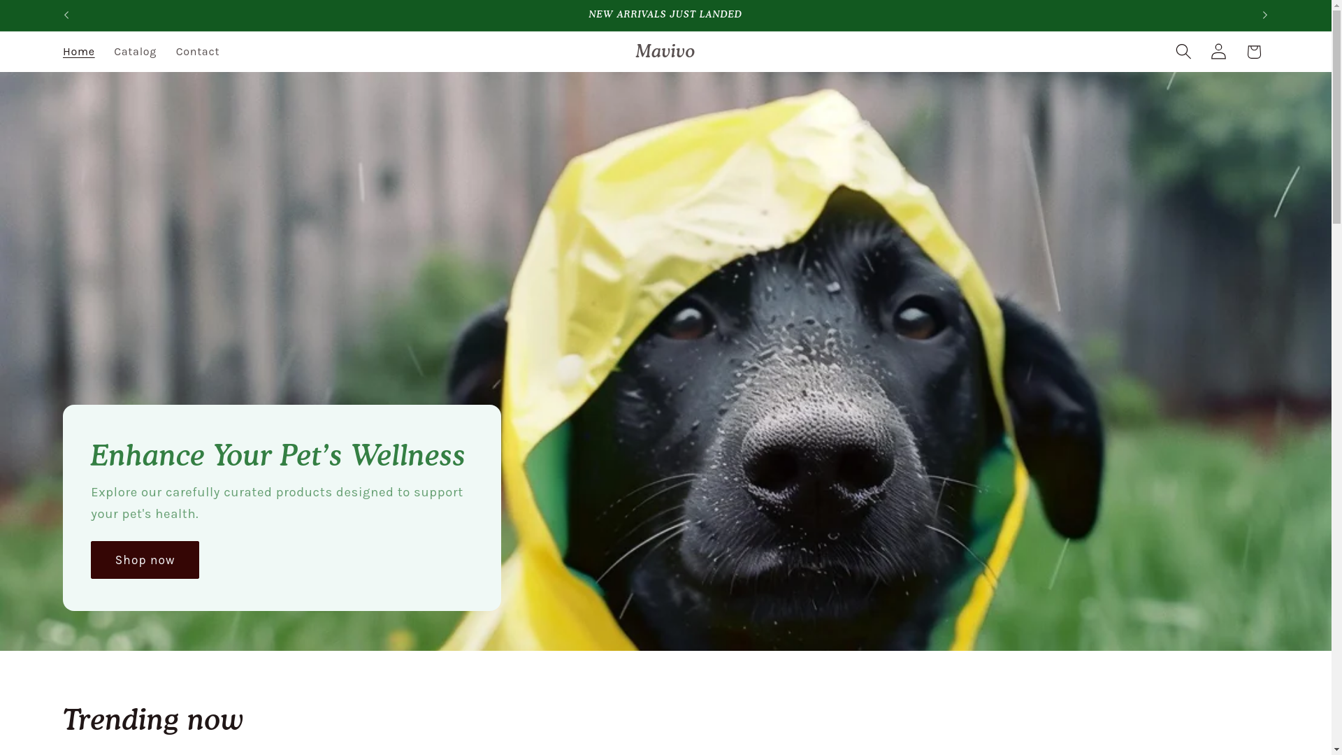 website screenshot of https://trymavivo.com/