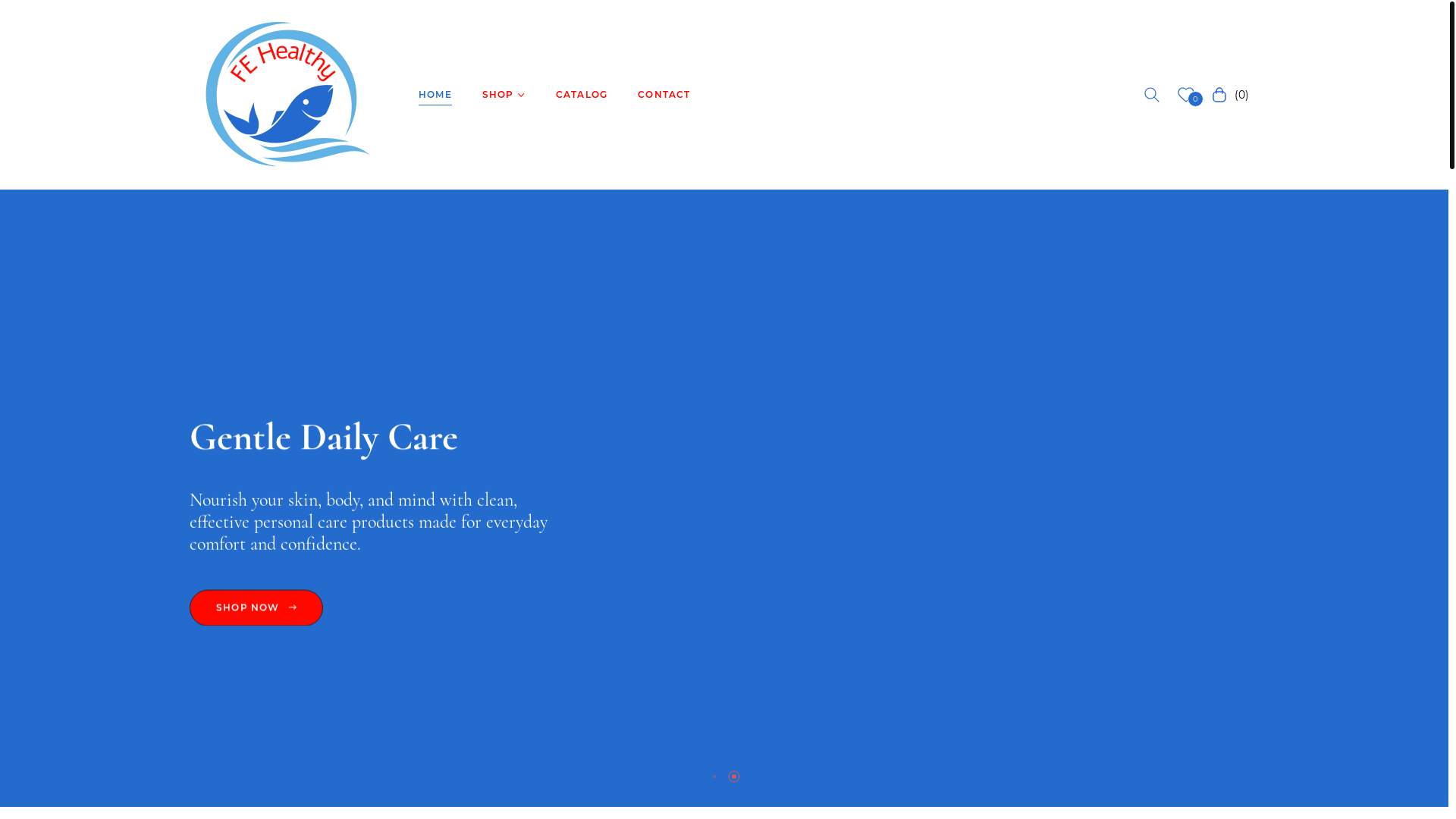 website screenshot of https://fehealthyshop.com/