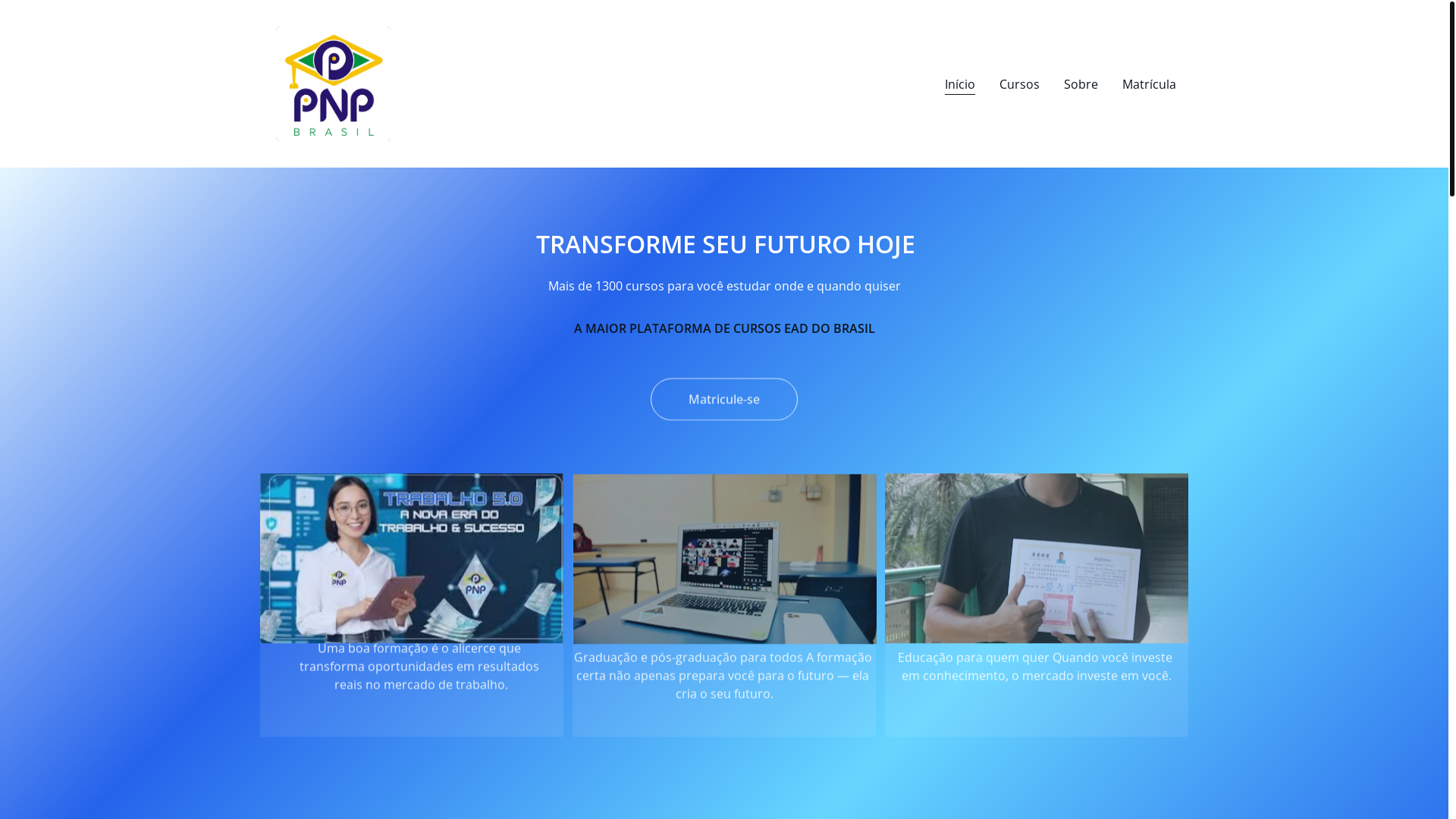 website screenshot of https://pnpbrasilbarueri.com.br/