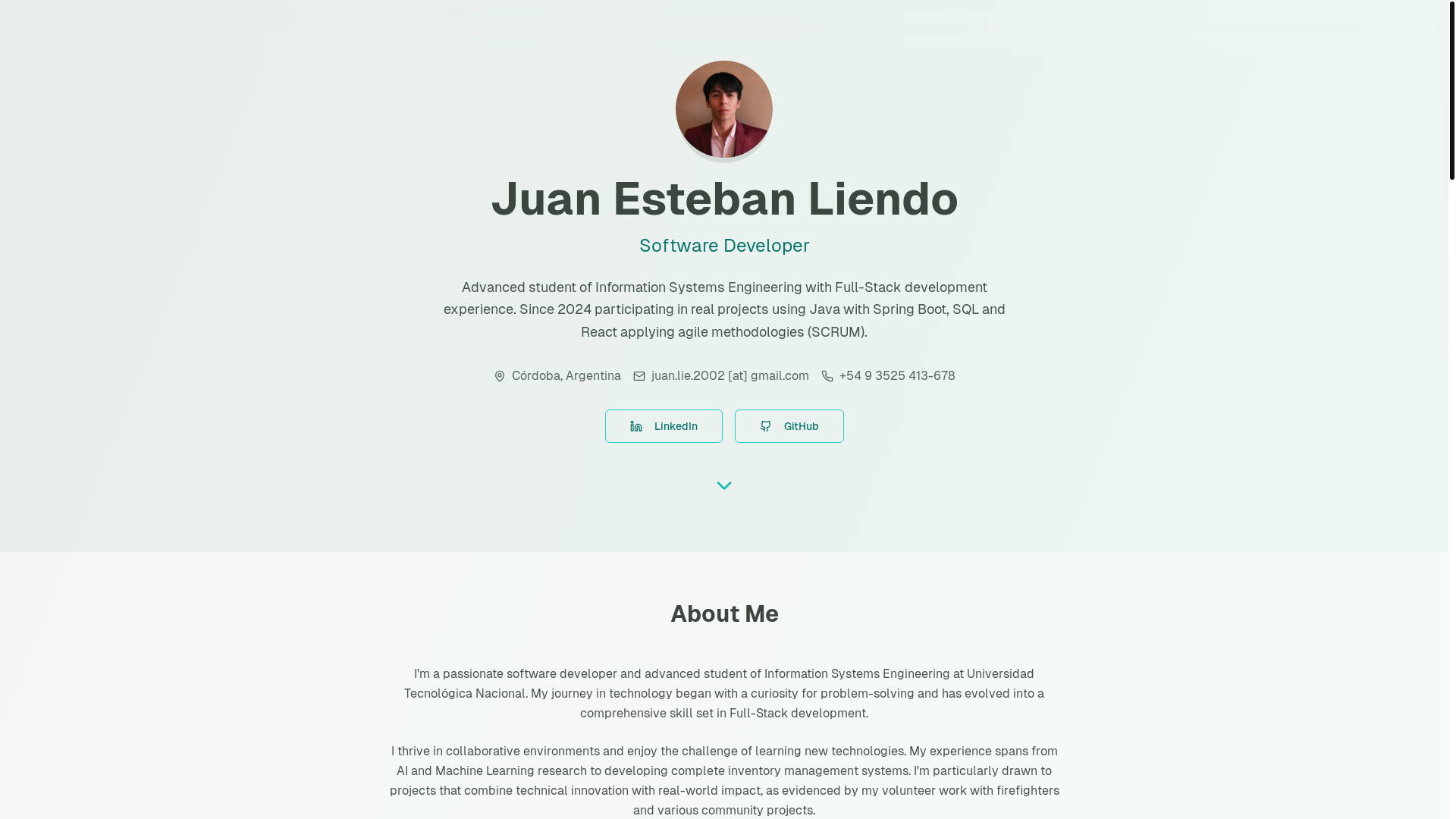 website screenshot of https://juanliendo.com/