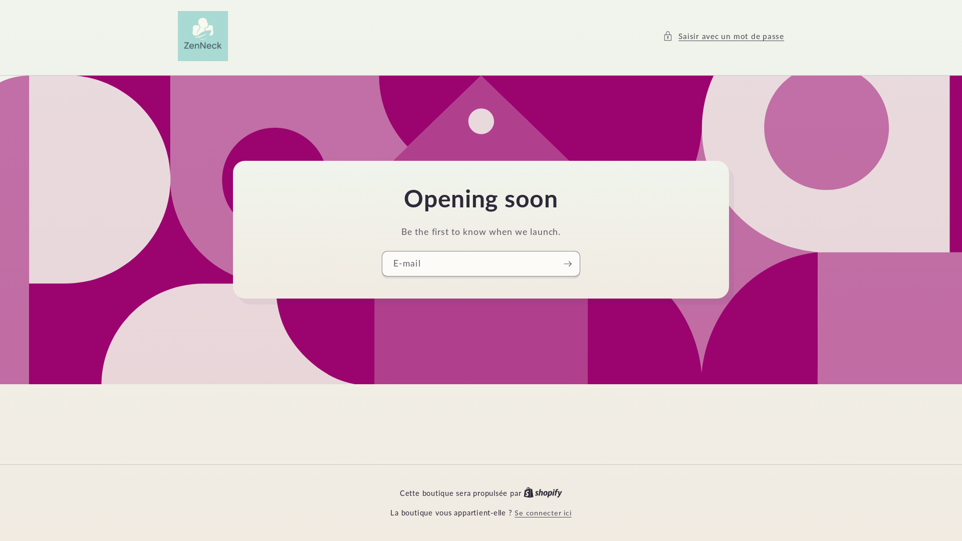website screenshot of https://zenneckshop.com/