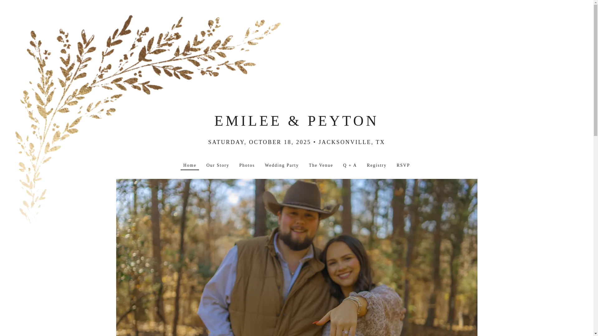 website screenshot of https://emileeandpeyton.com/