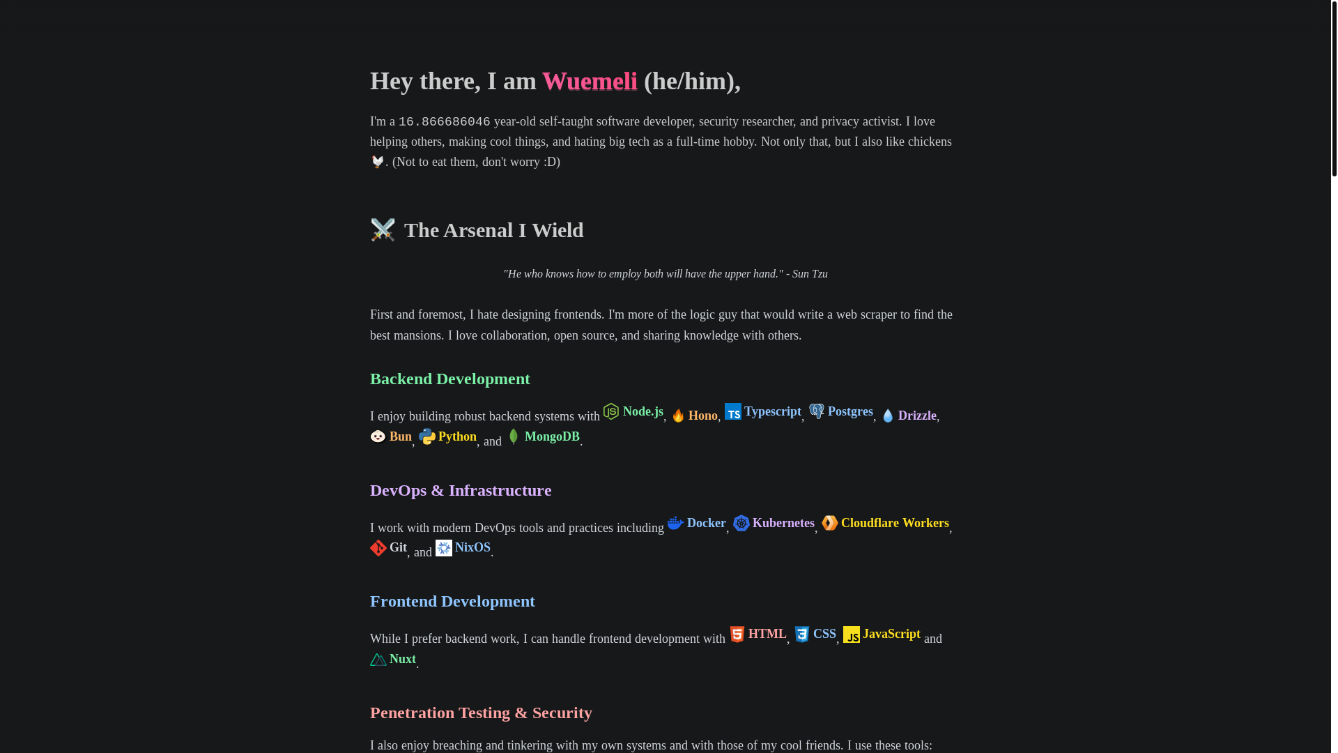 website screenshot of https://wuemeli-website.pages.dev/