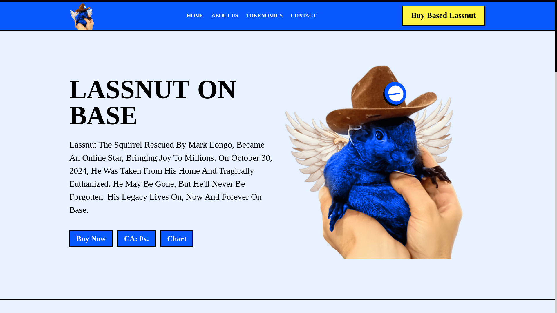 website screenshot of https://lassnut.space/