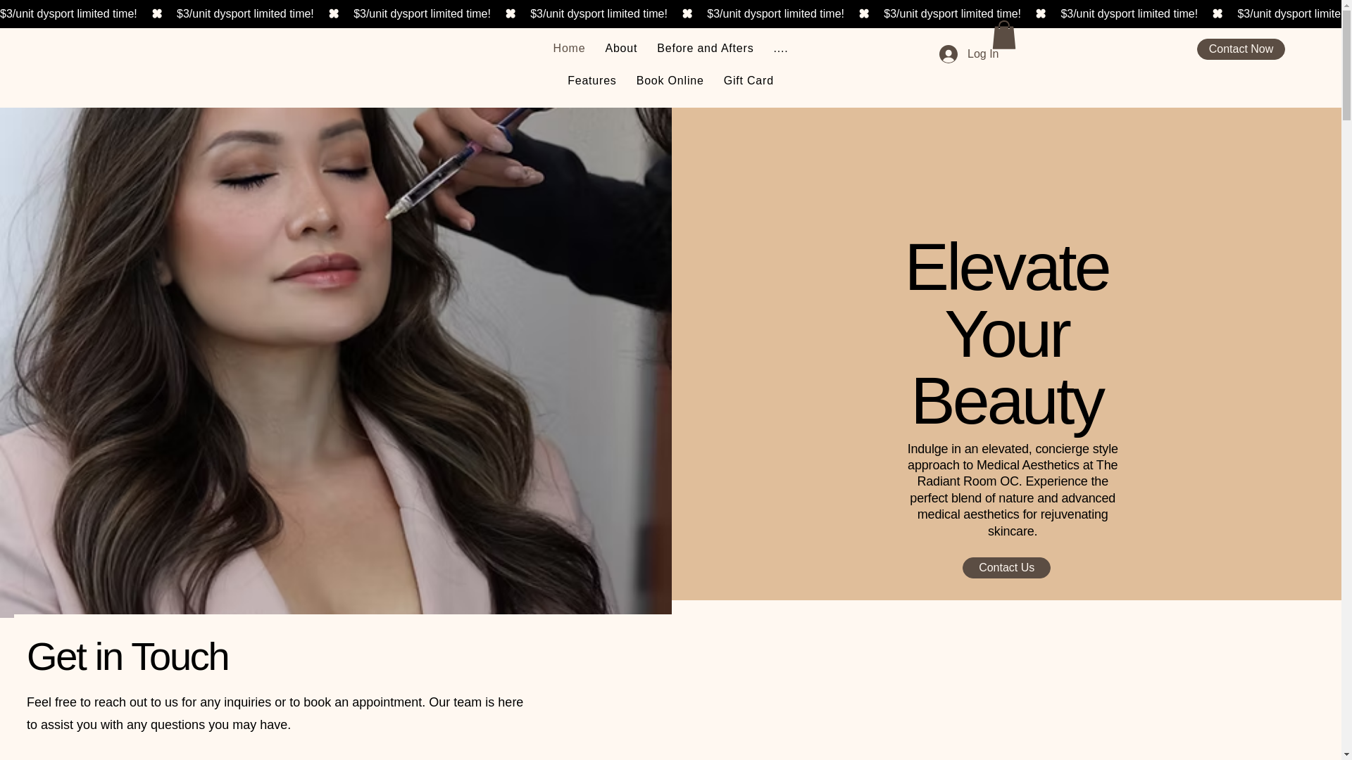 website screenshot of https://maisondechienes.com/