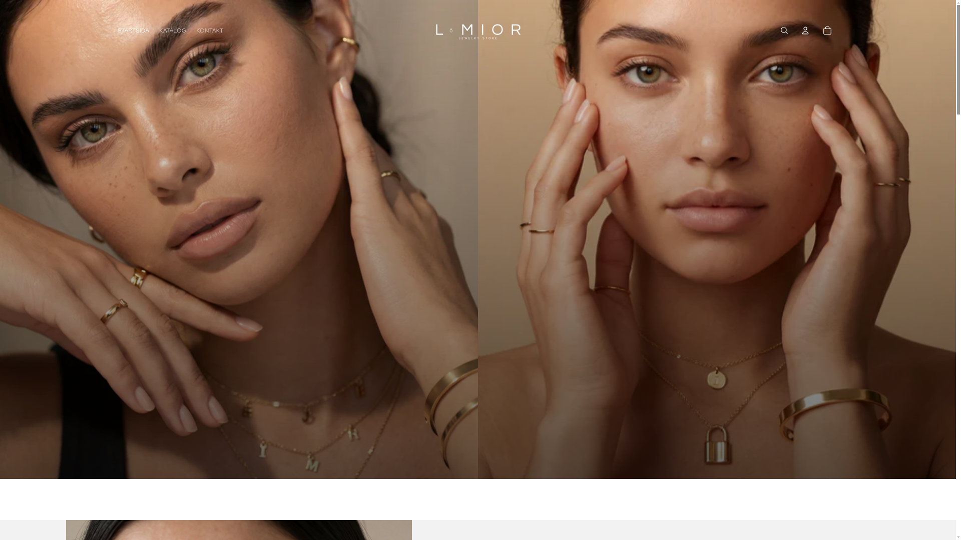 website screenshot of https://lmior.se/