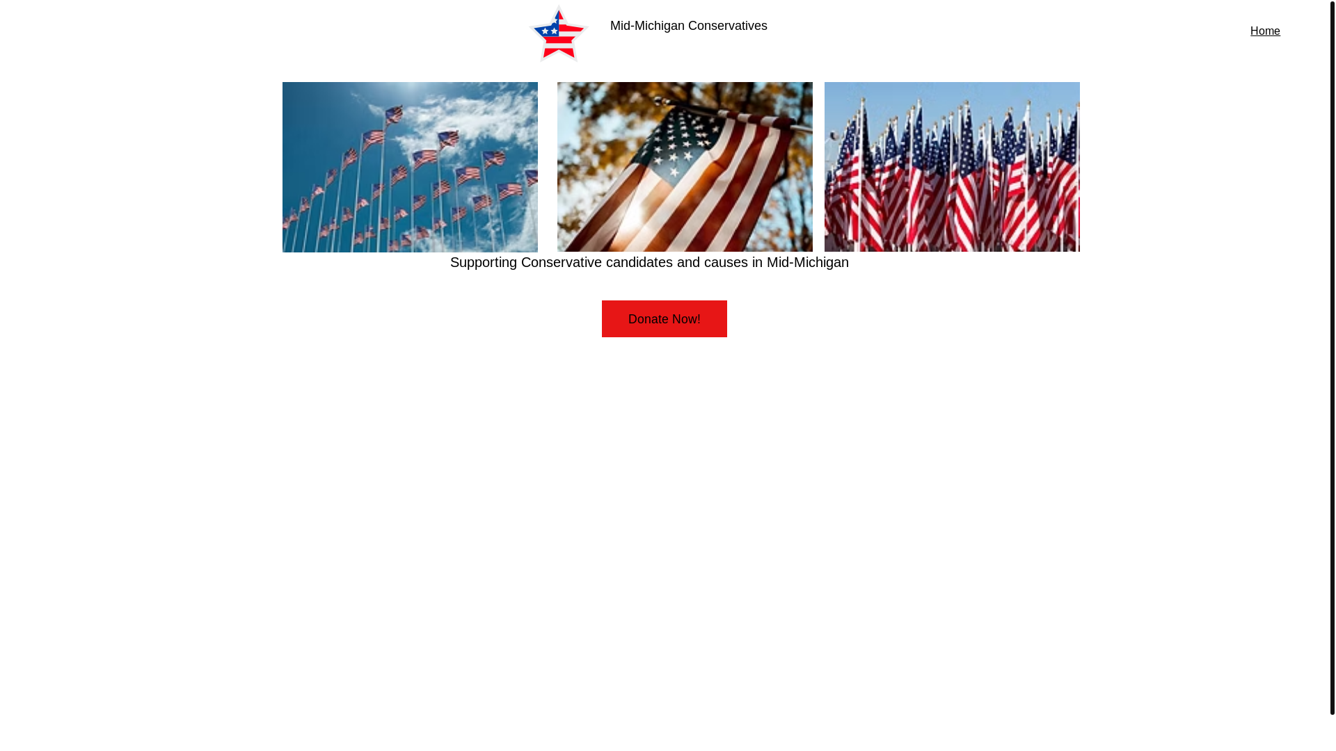 website screenshot of https://midmiconservatives.com/