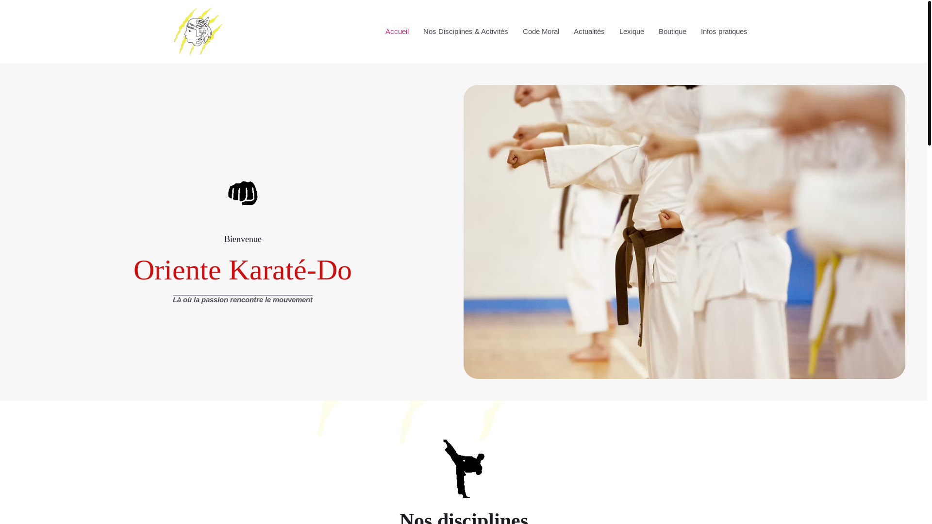 website screenshot of https://orientekaratedo.fr/